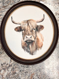 Bull Portrait