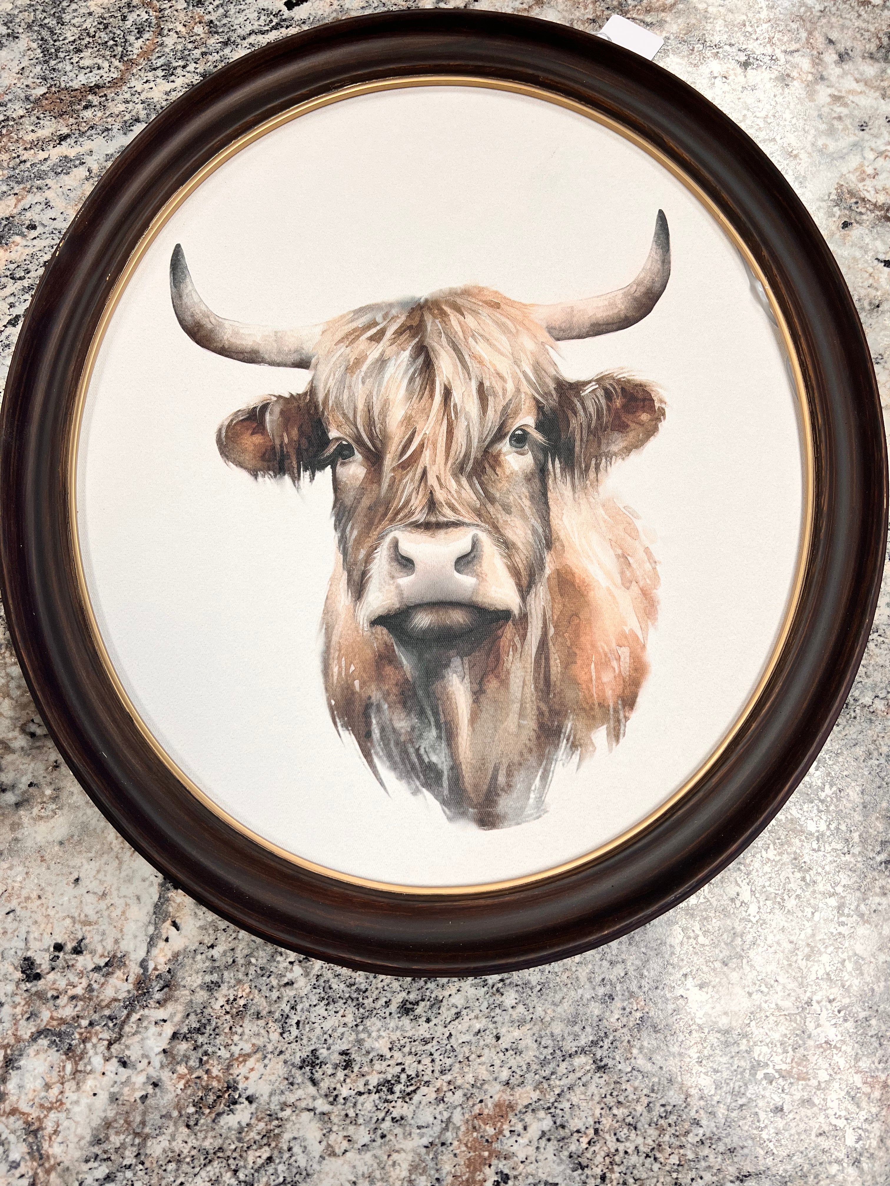 Bull Portrait