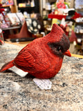 Cardinal Bird