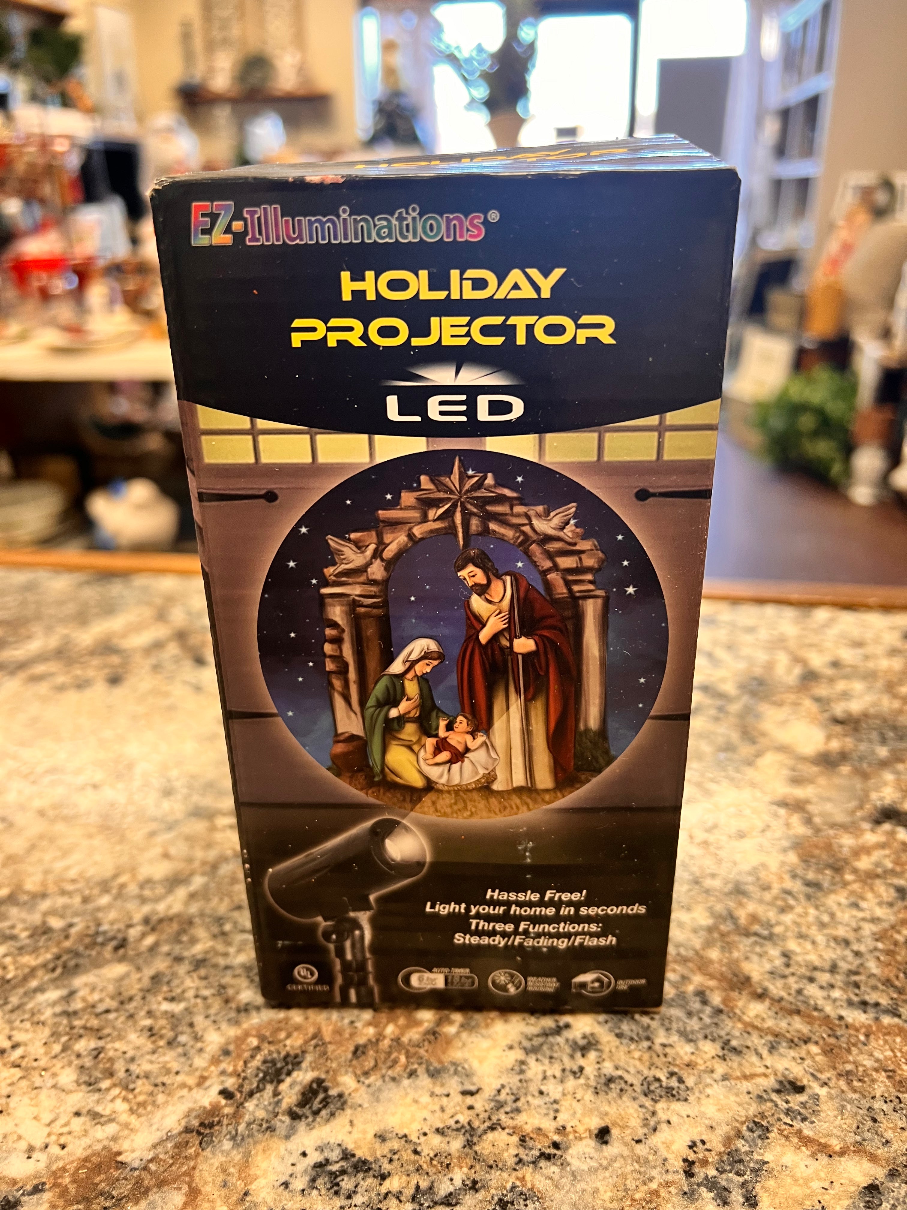 Holiday Projector