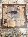 Bird Picture
