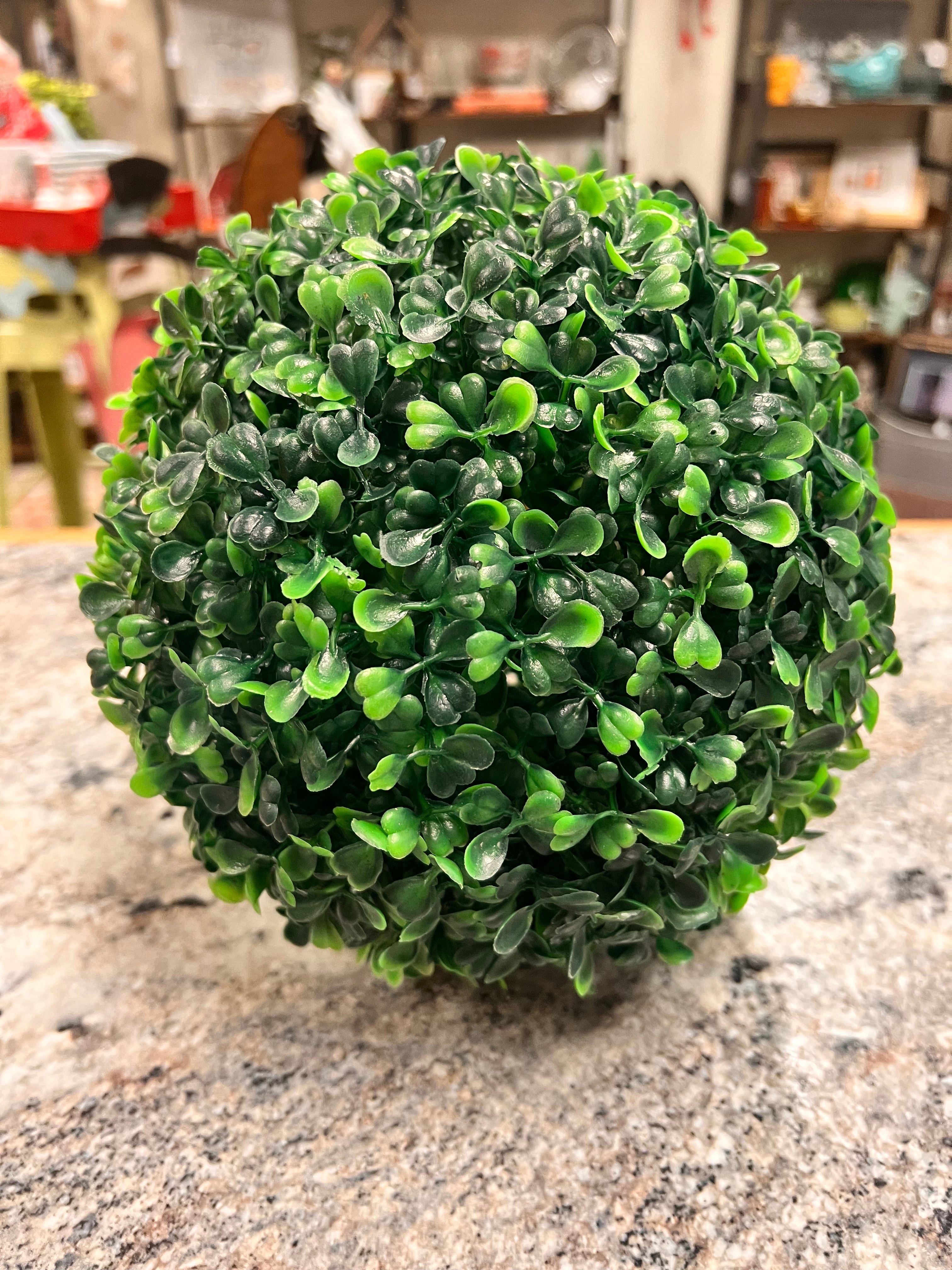 Round Plant
