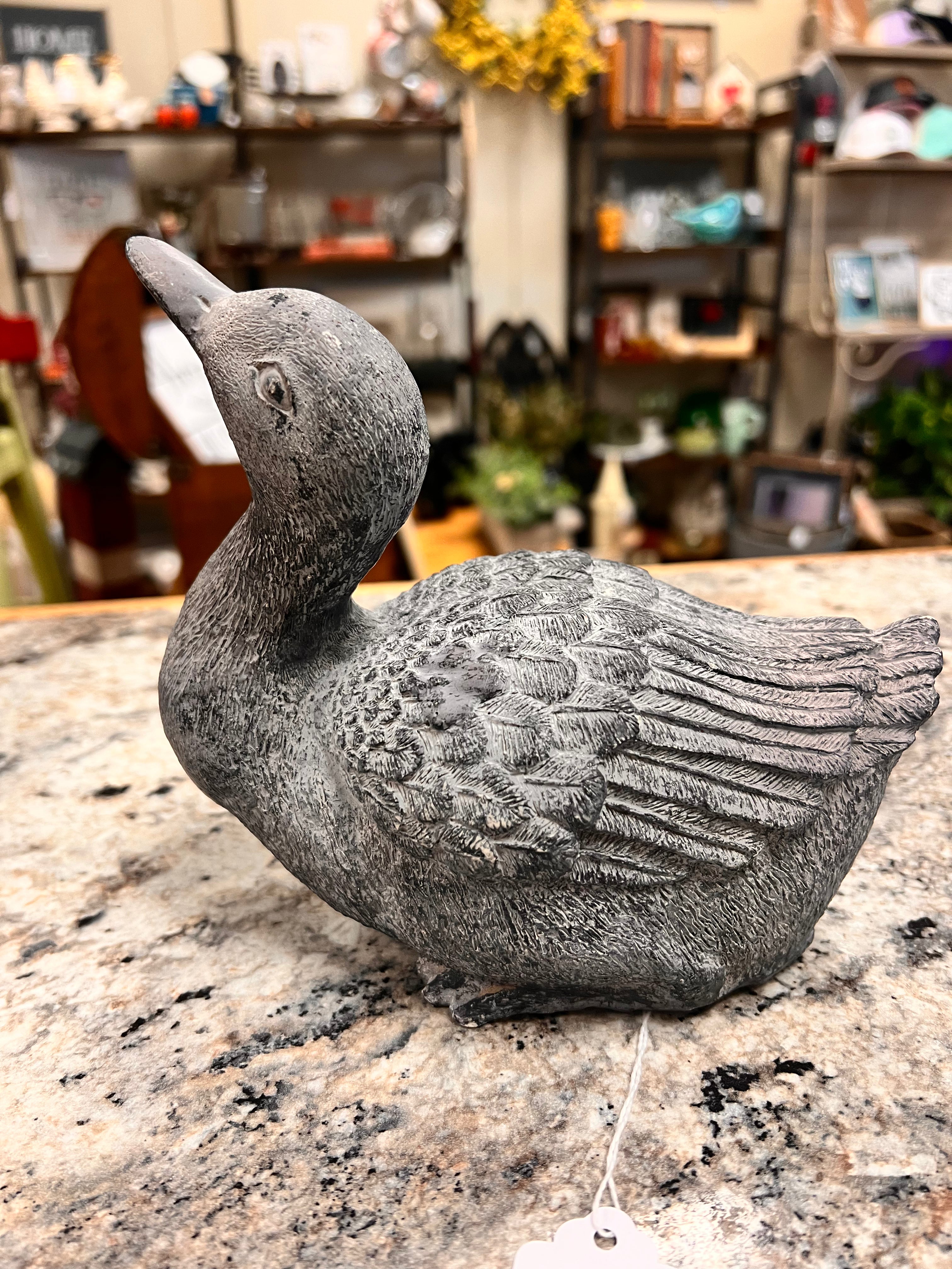 Duck Decor