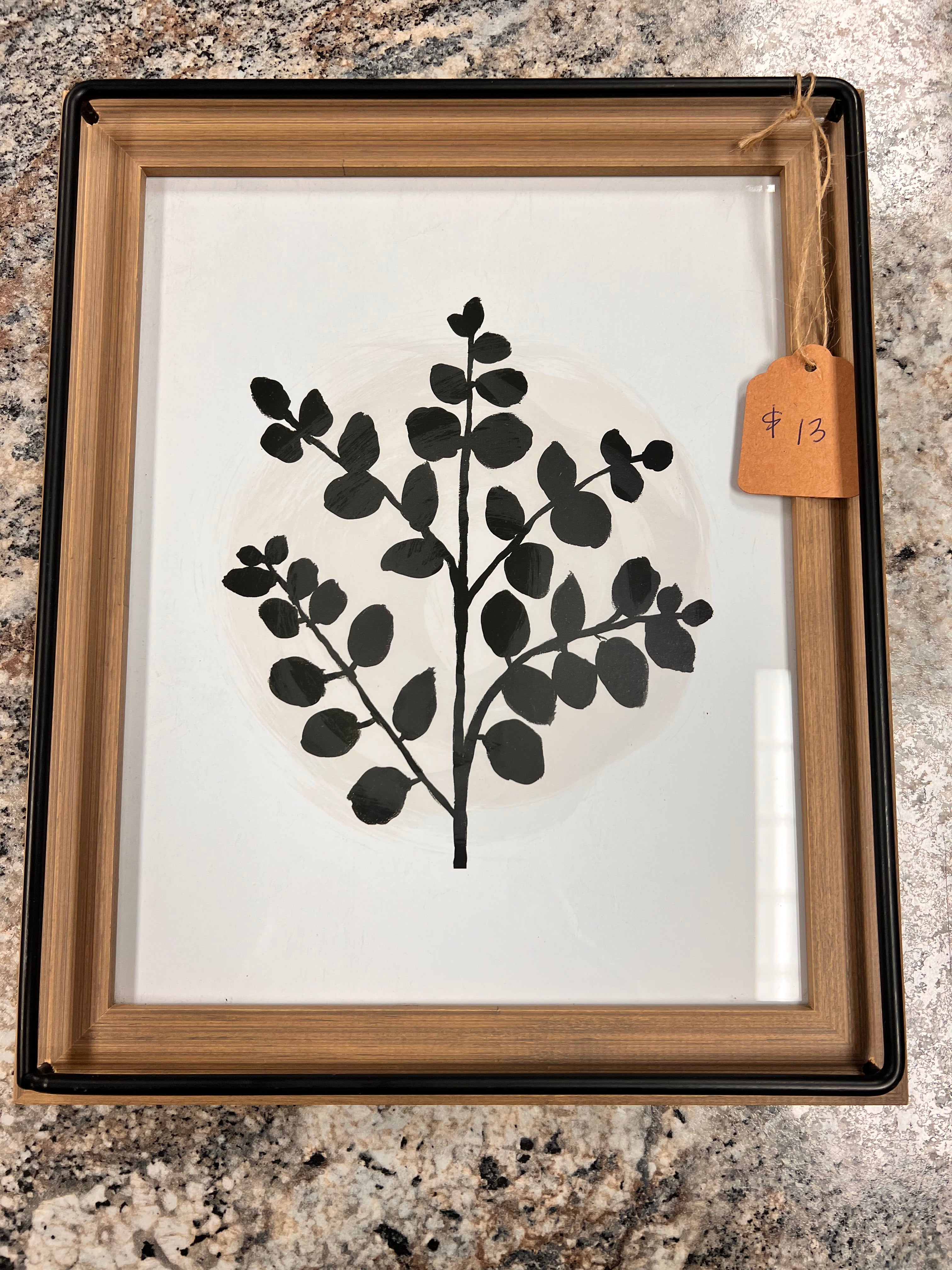 Plant Picture