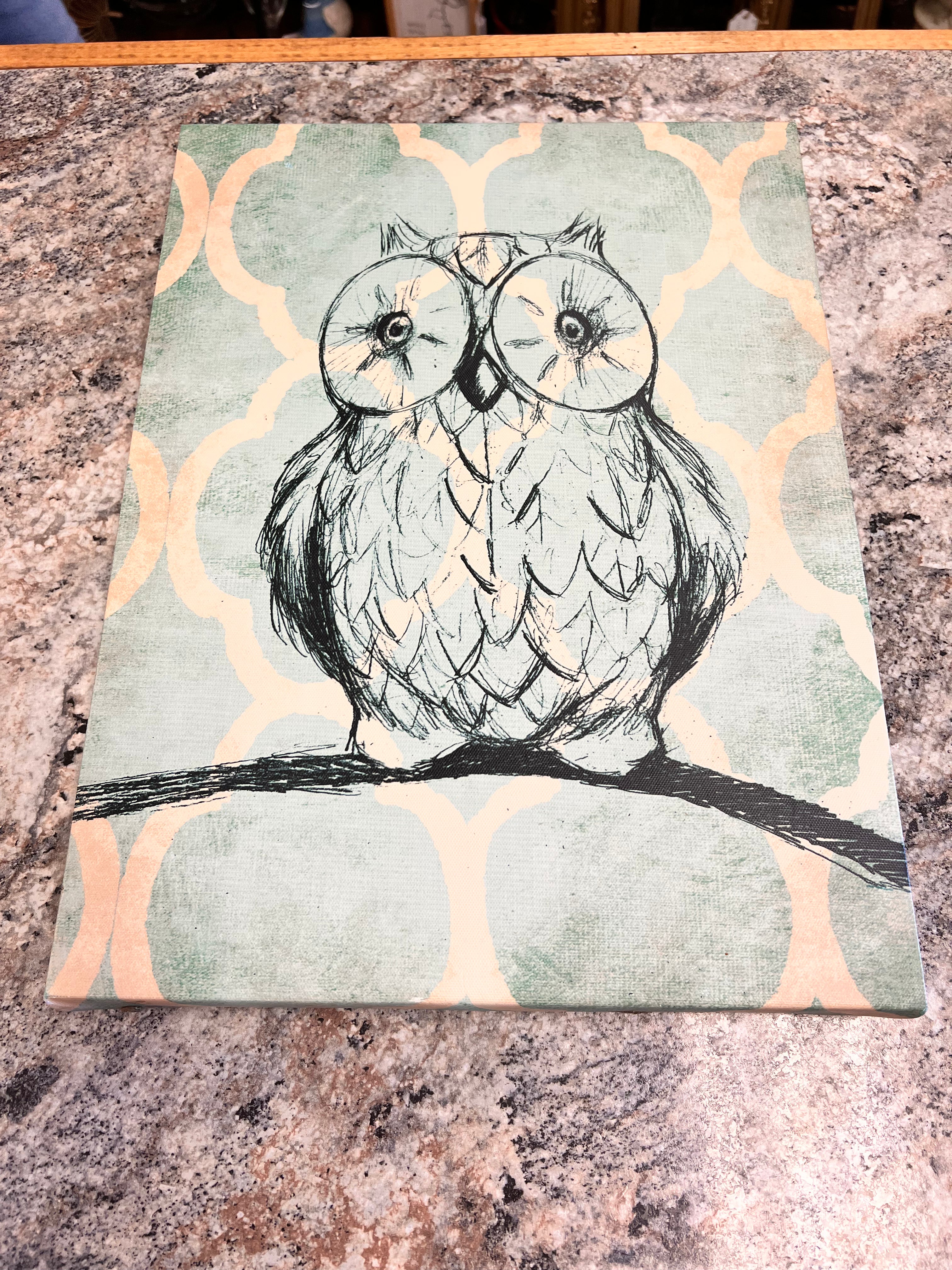 Owl Canvas