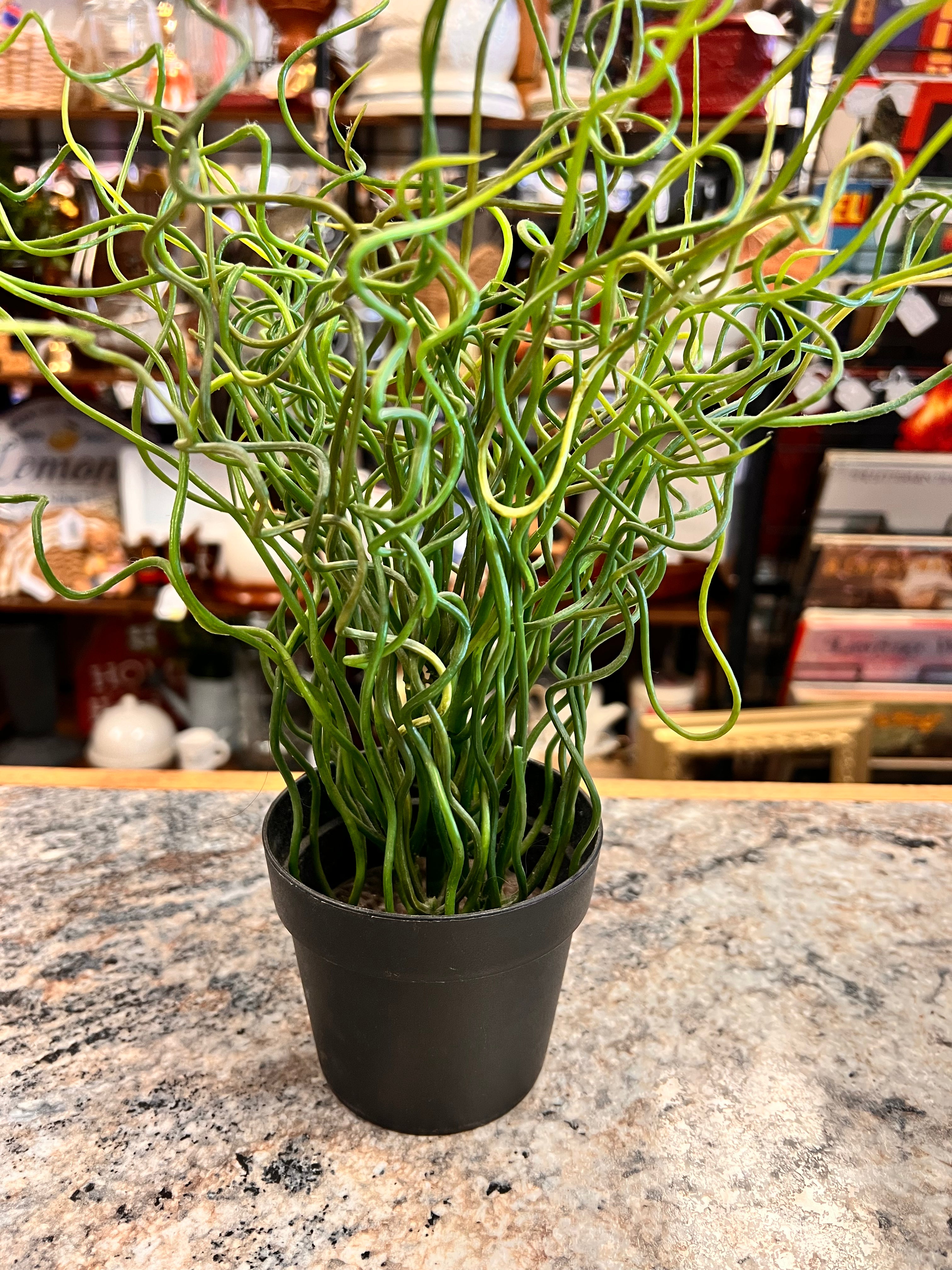 Green Plant