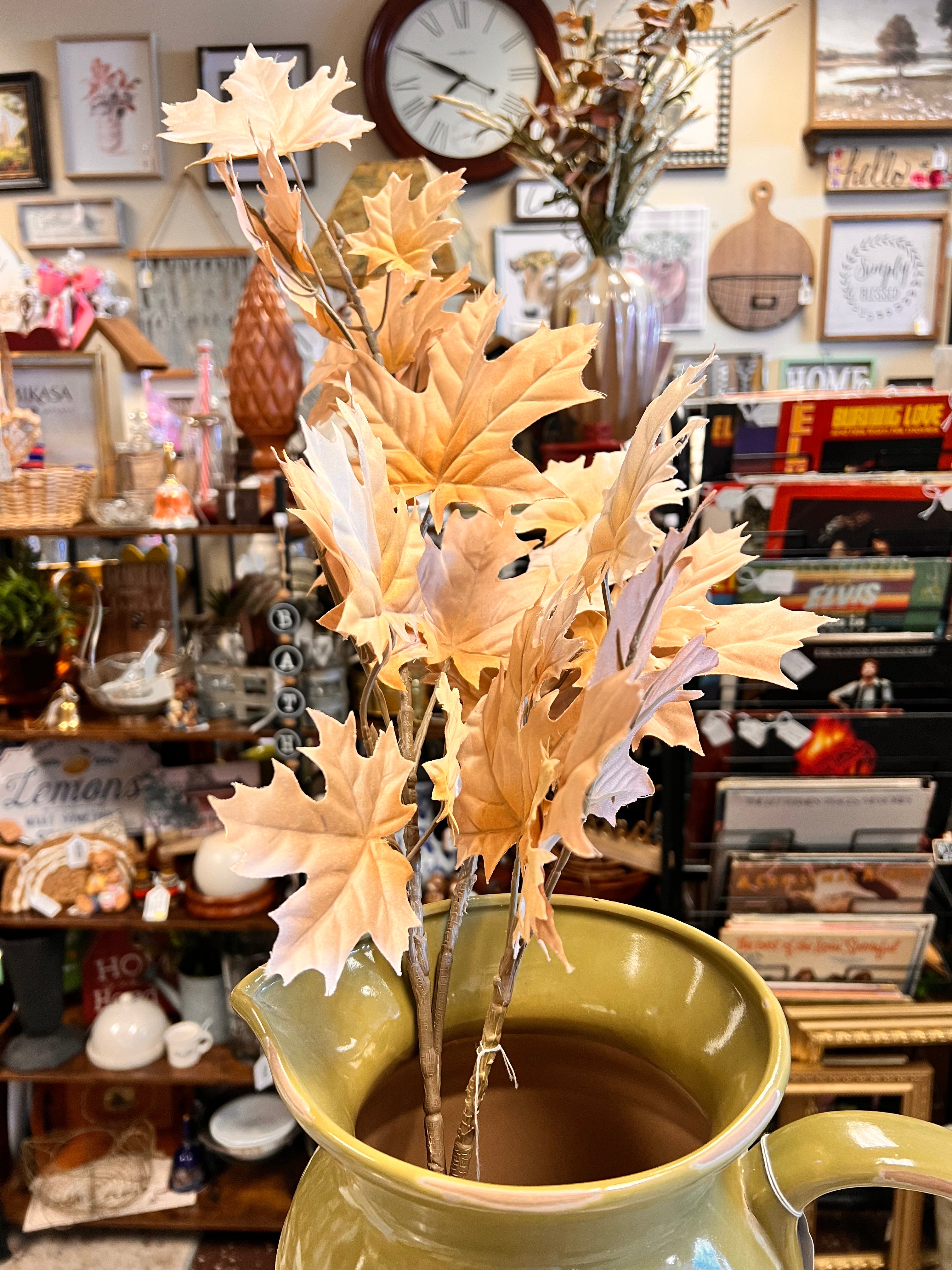 Tall Leaf Plant