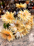 Daisy Flower Set