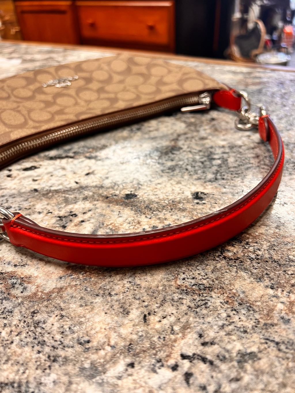 Coach Payton Hobo Bag