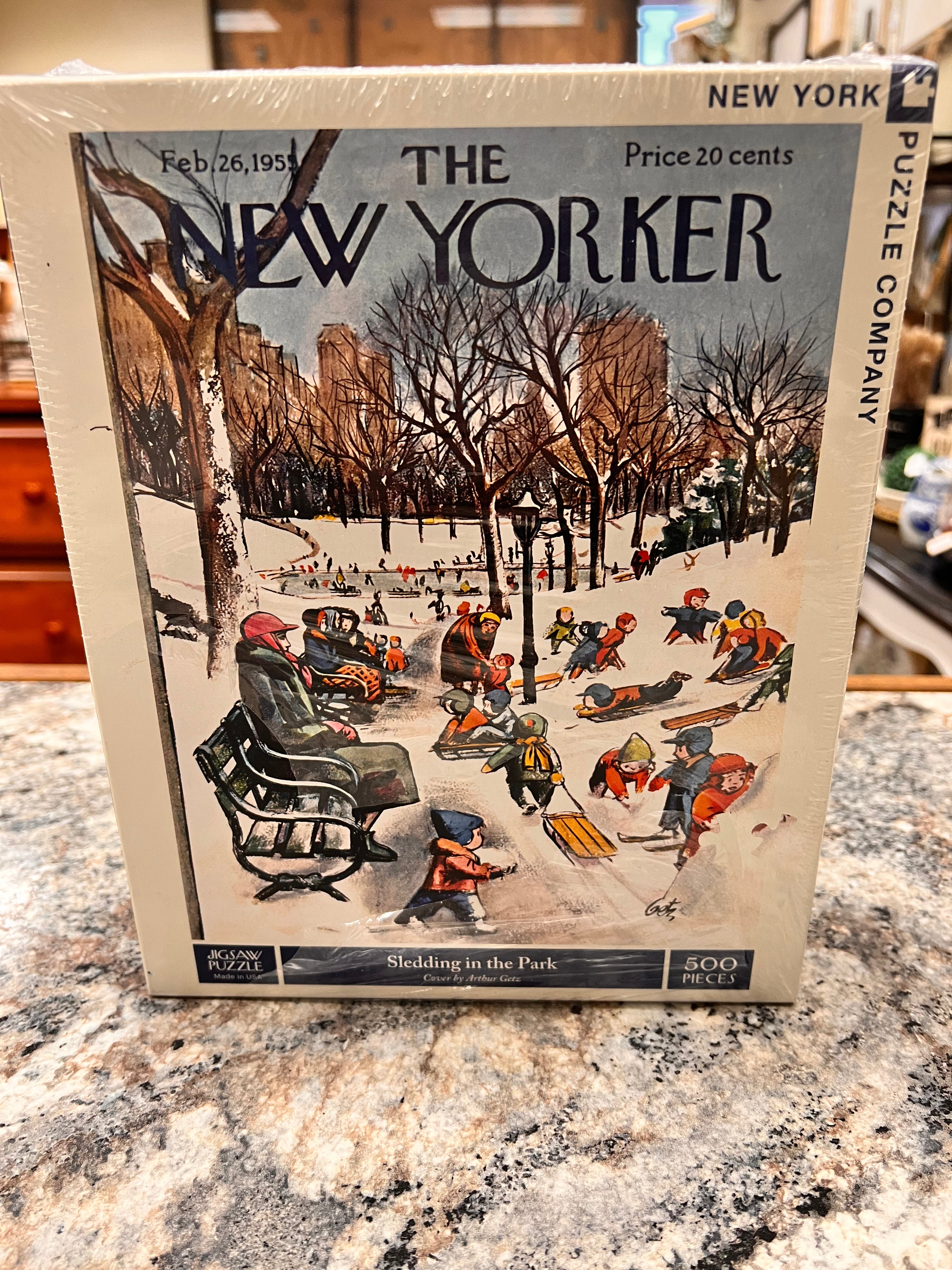 Sledding Puzzle