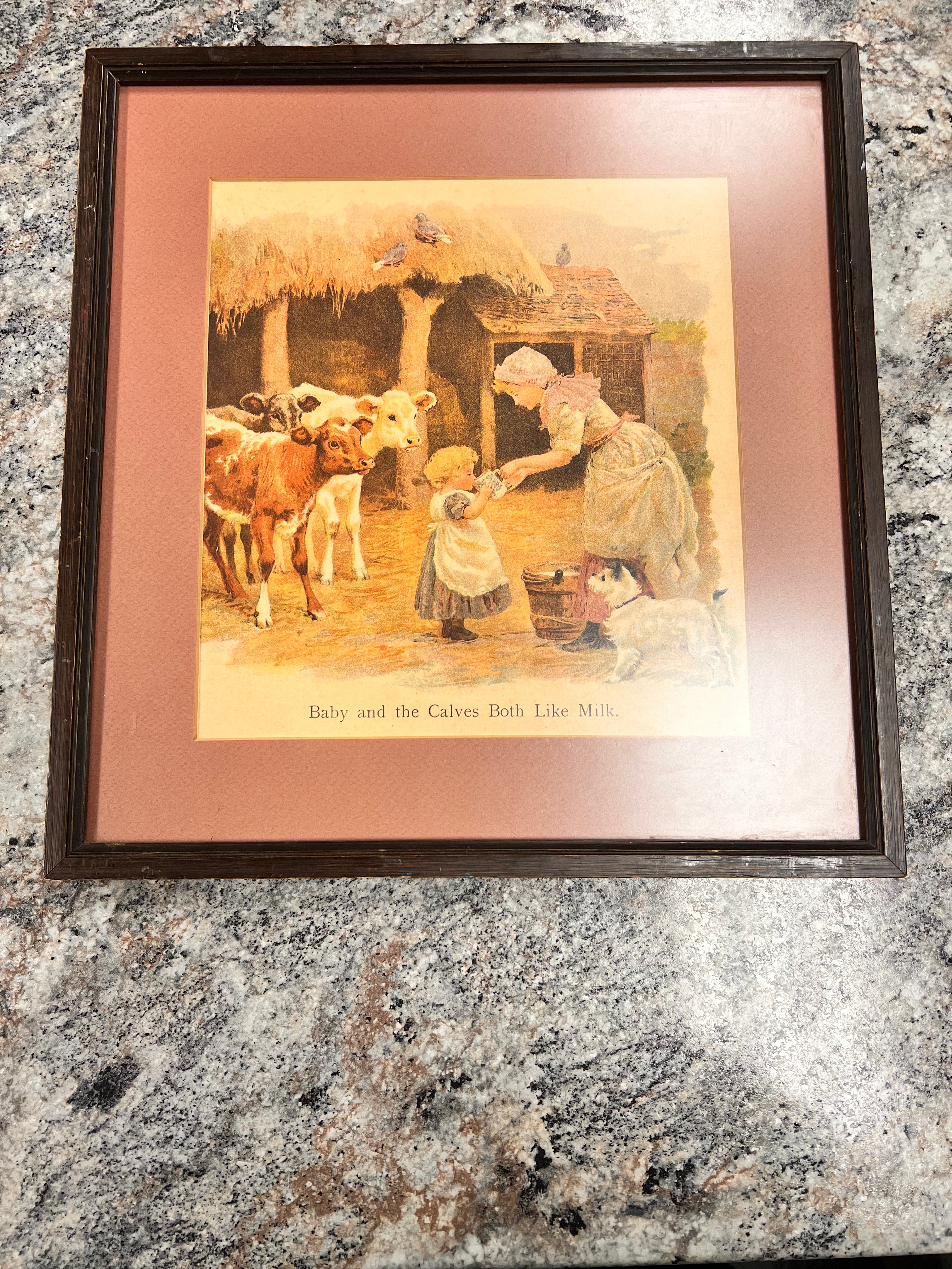 1852 Framed Chromolithograph