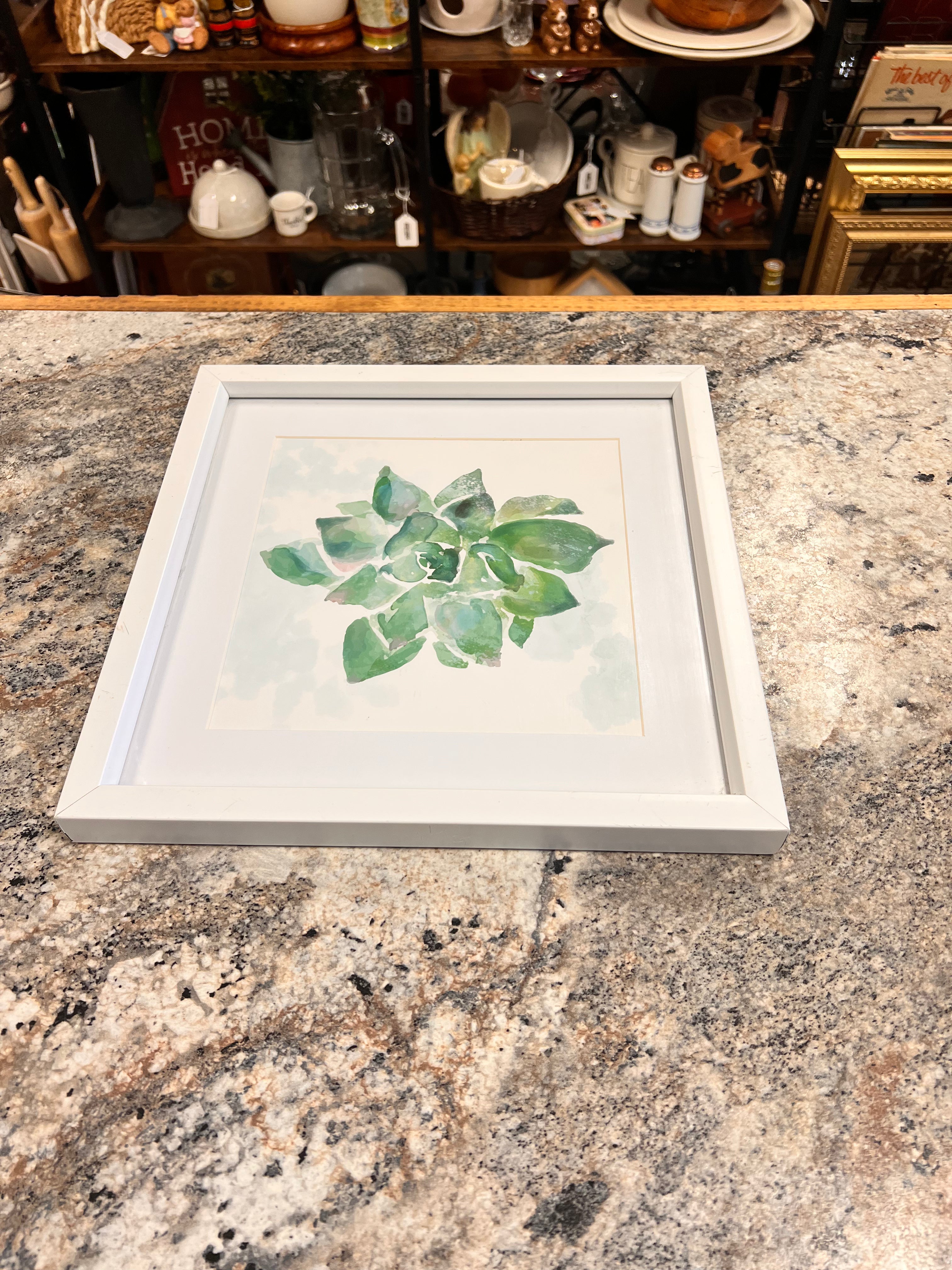 Plant Picture