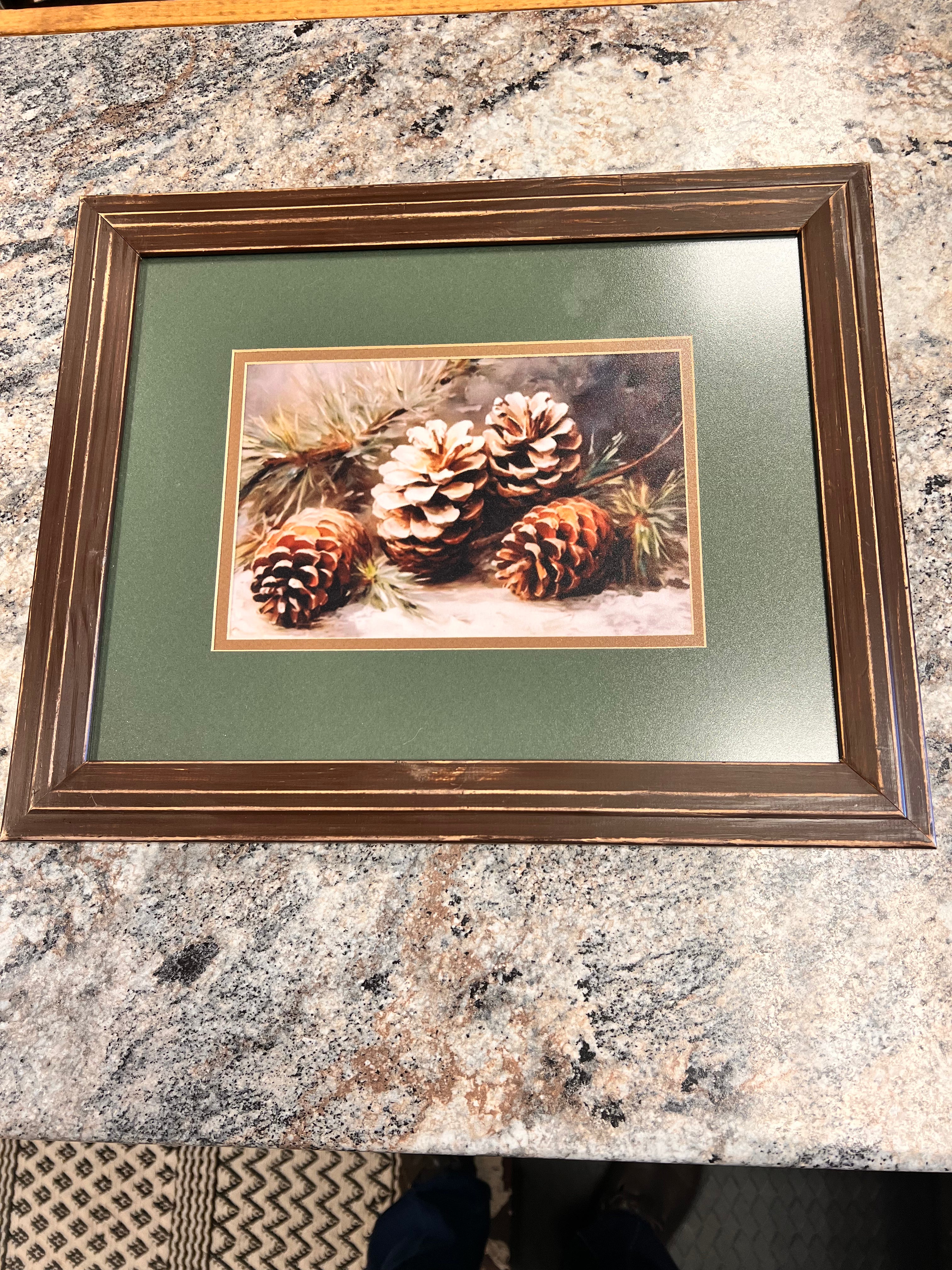 Pinecone Picture