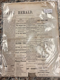 1873 Newspaper