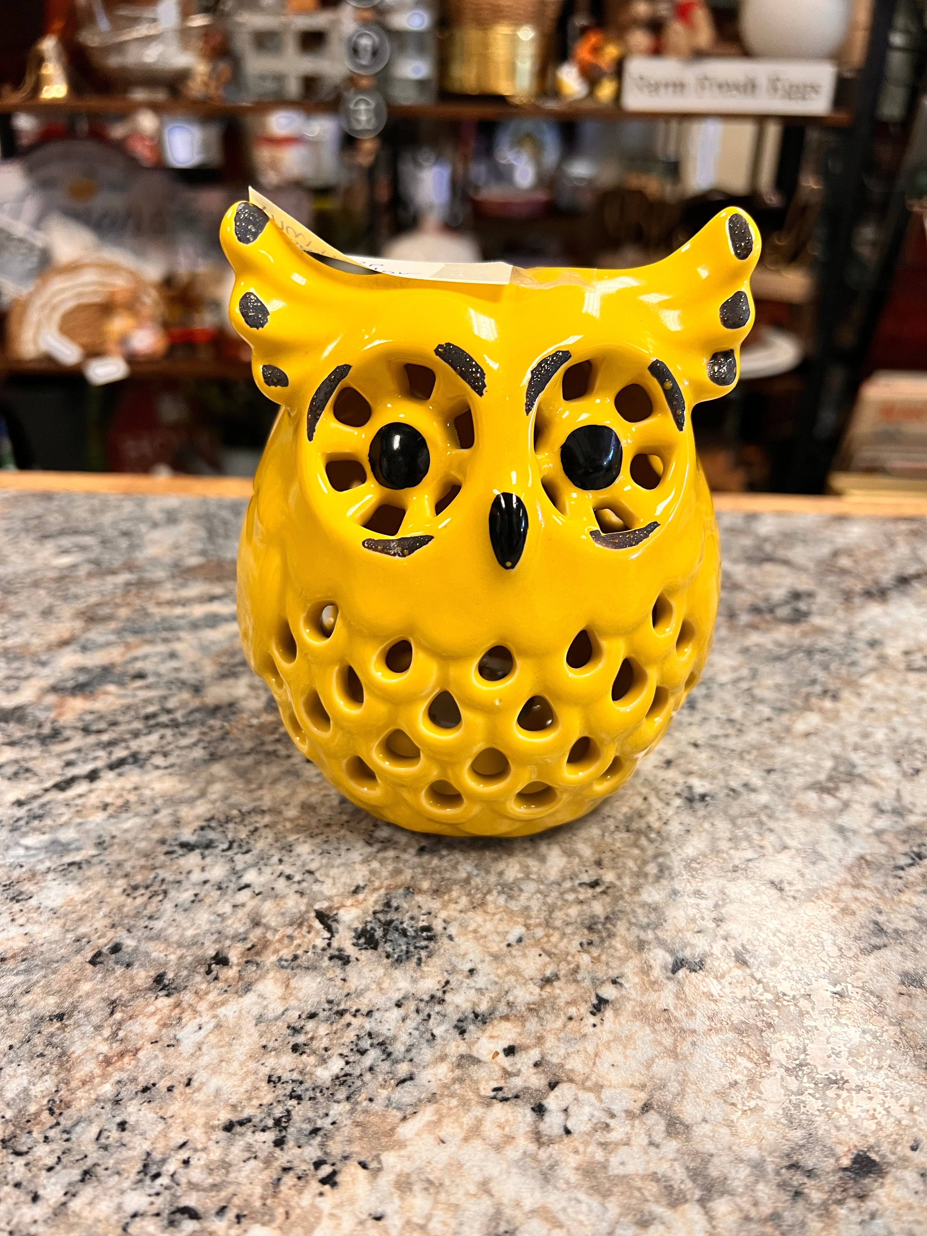 Light Up Owl