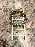 Mini Ladder