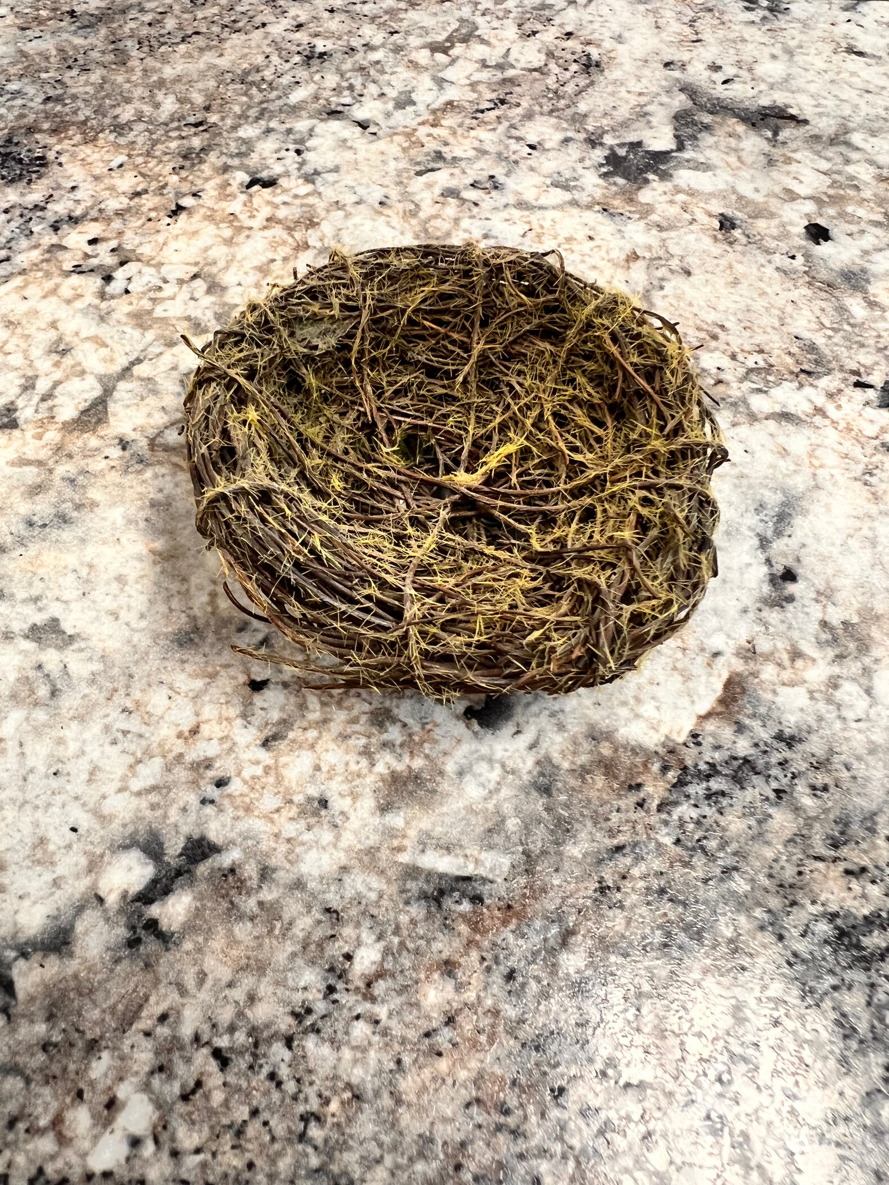 Bird Nest