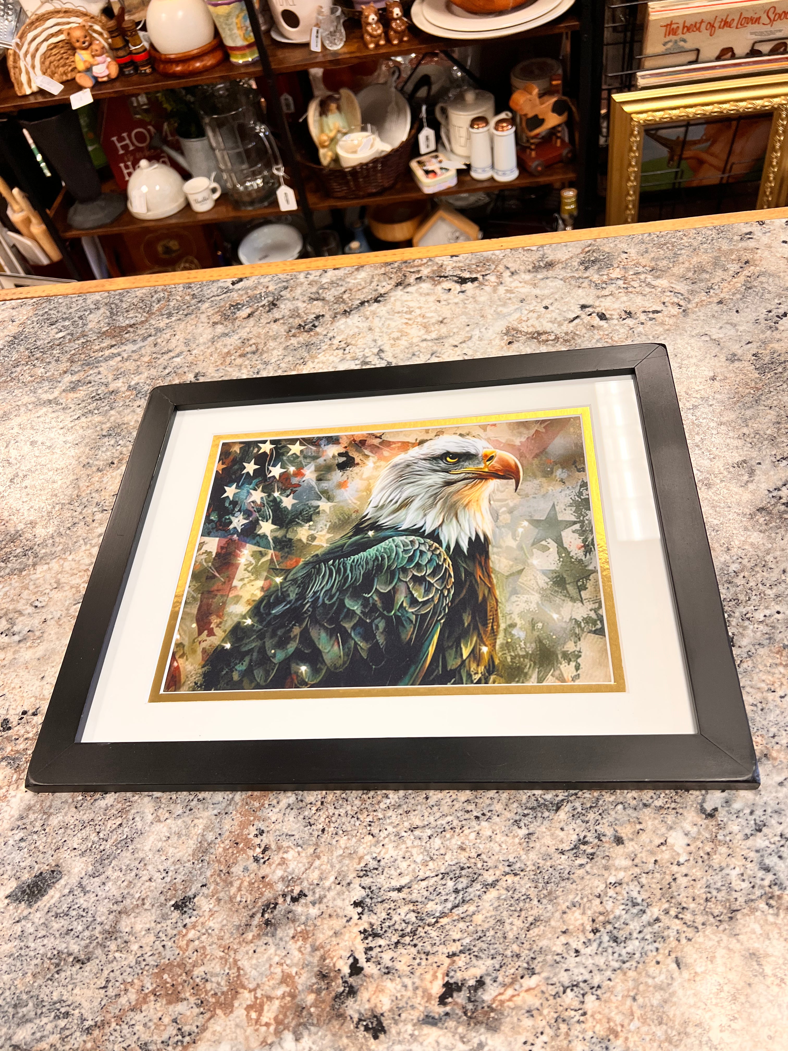Eagle Picture