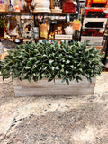 Greenery Box