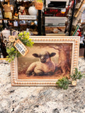 Lamb Picture