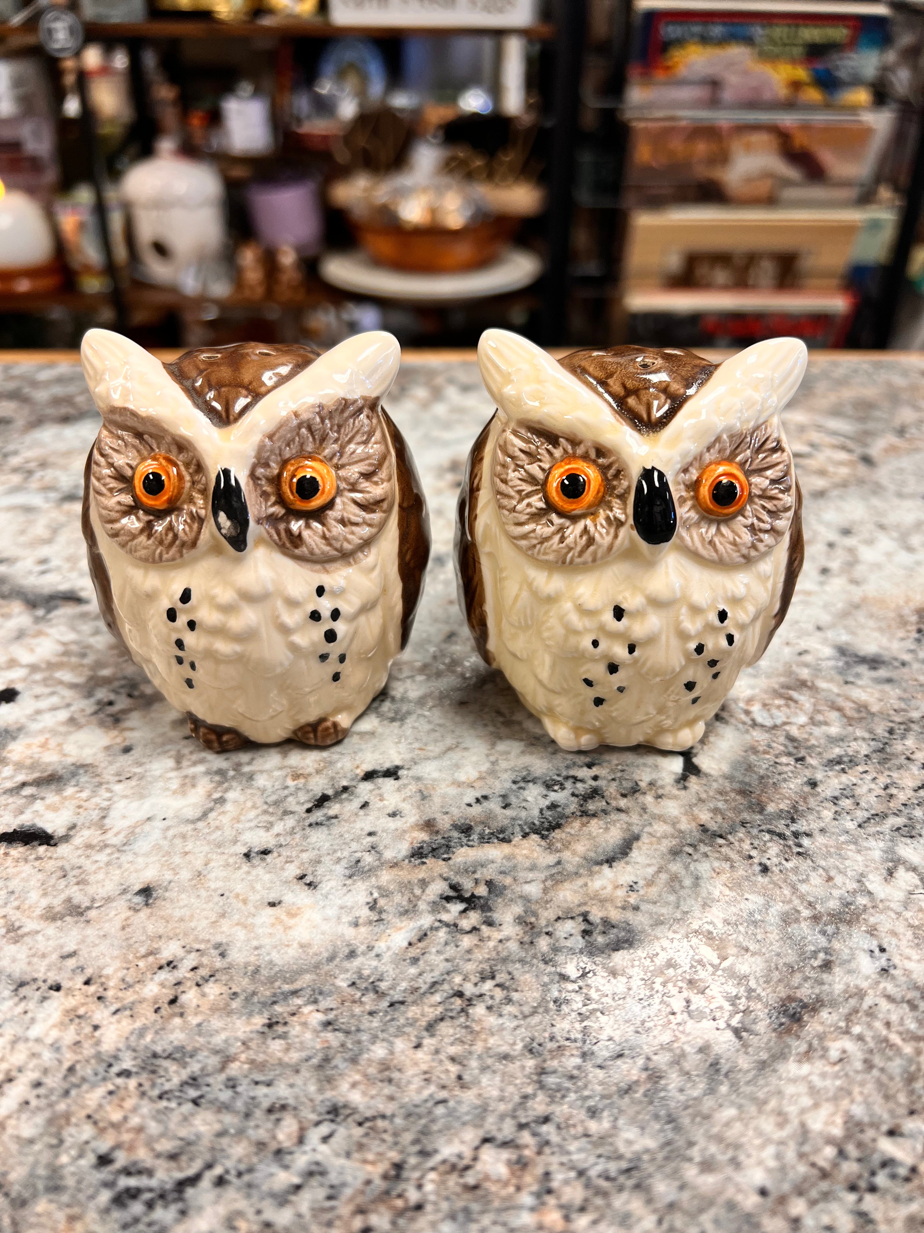 Owl Shaker Set