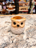 Owl Planter