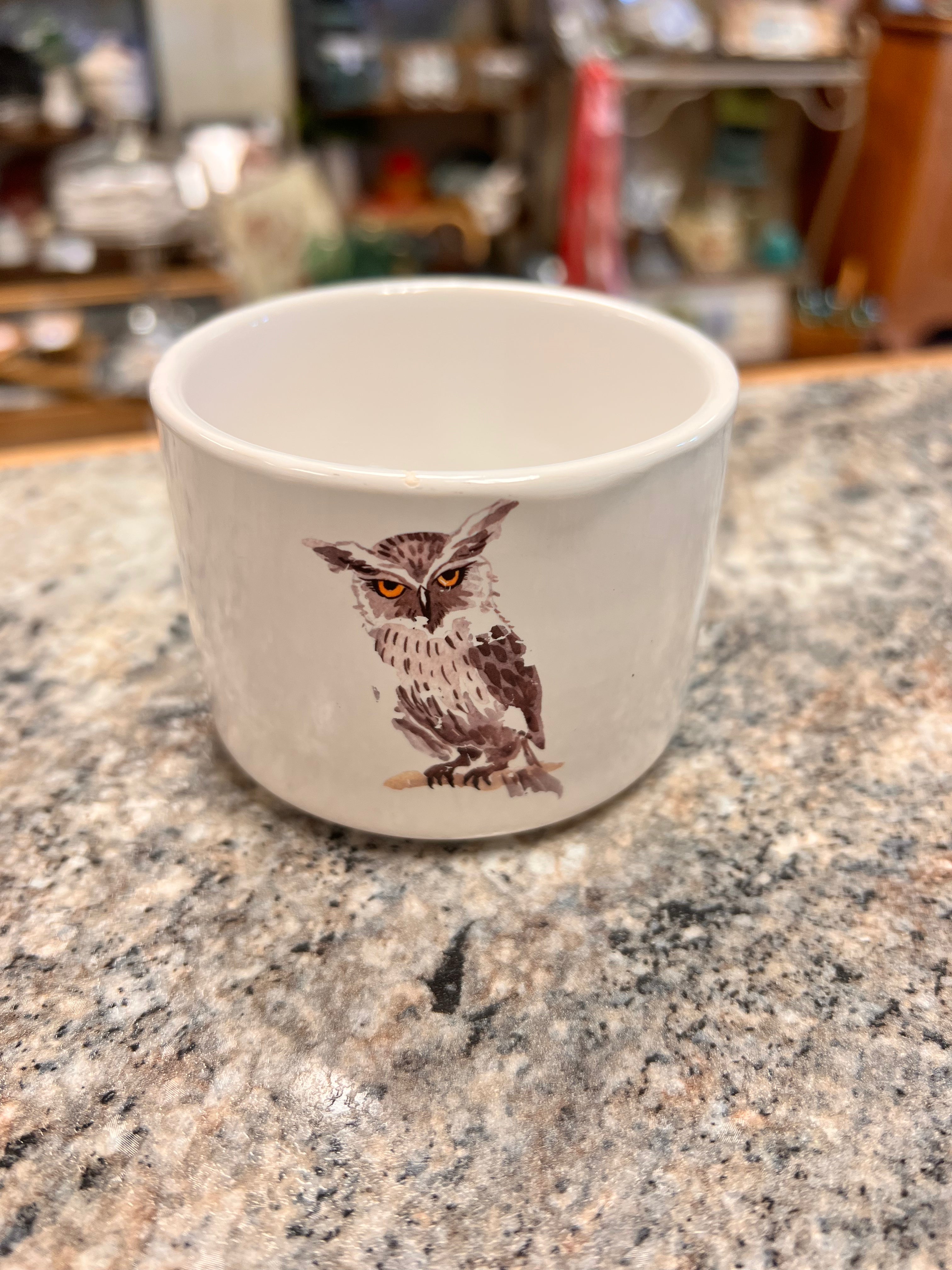 Owl Planter