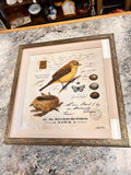 Bird Picture