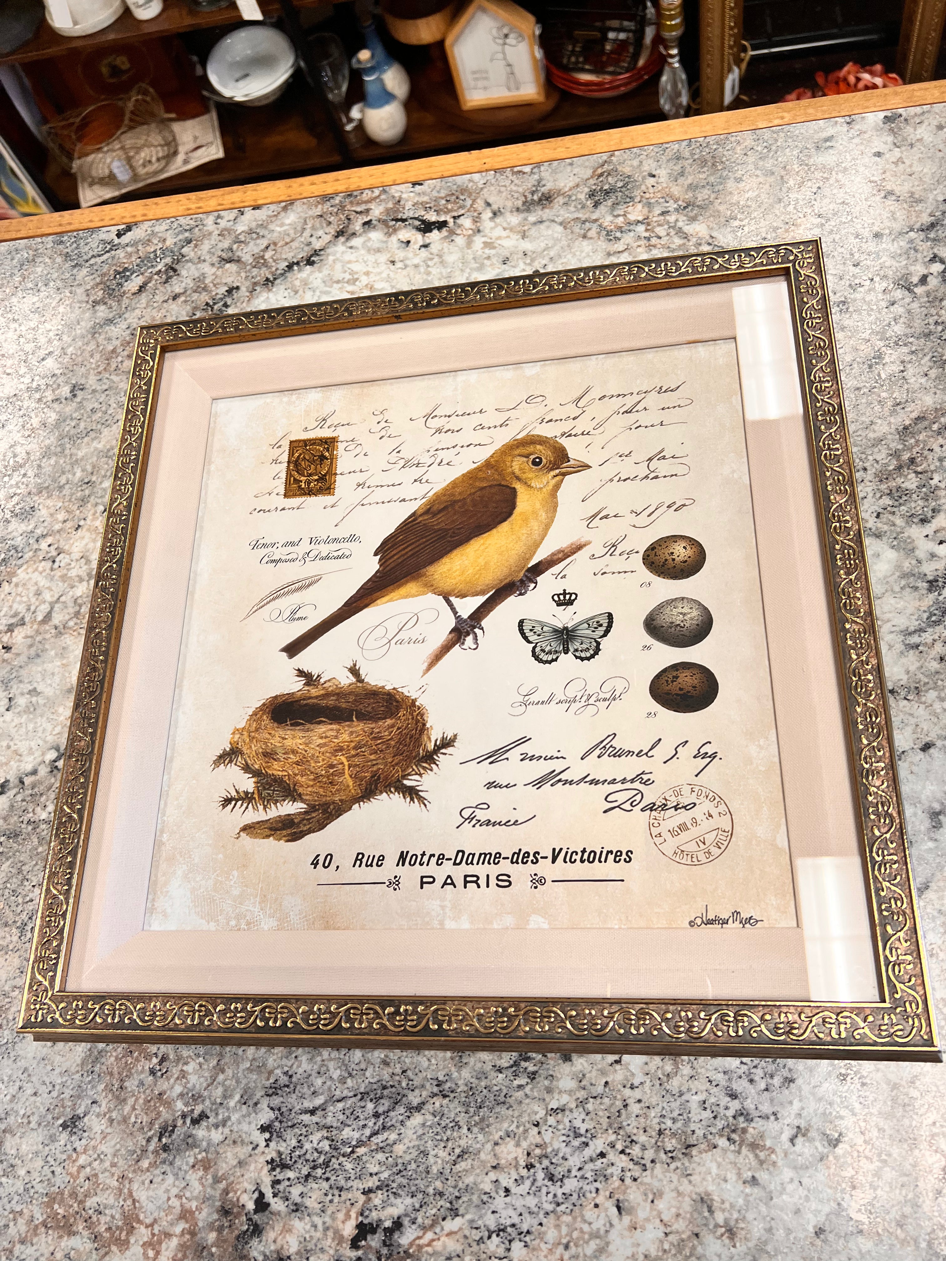 Bird Picture