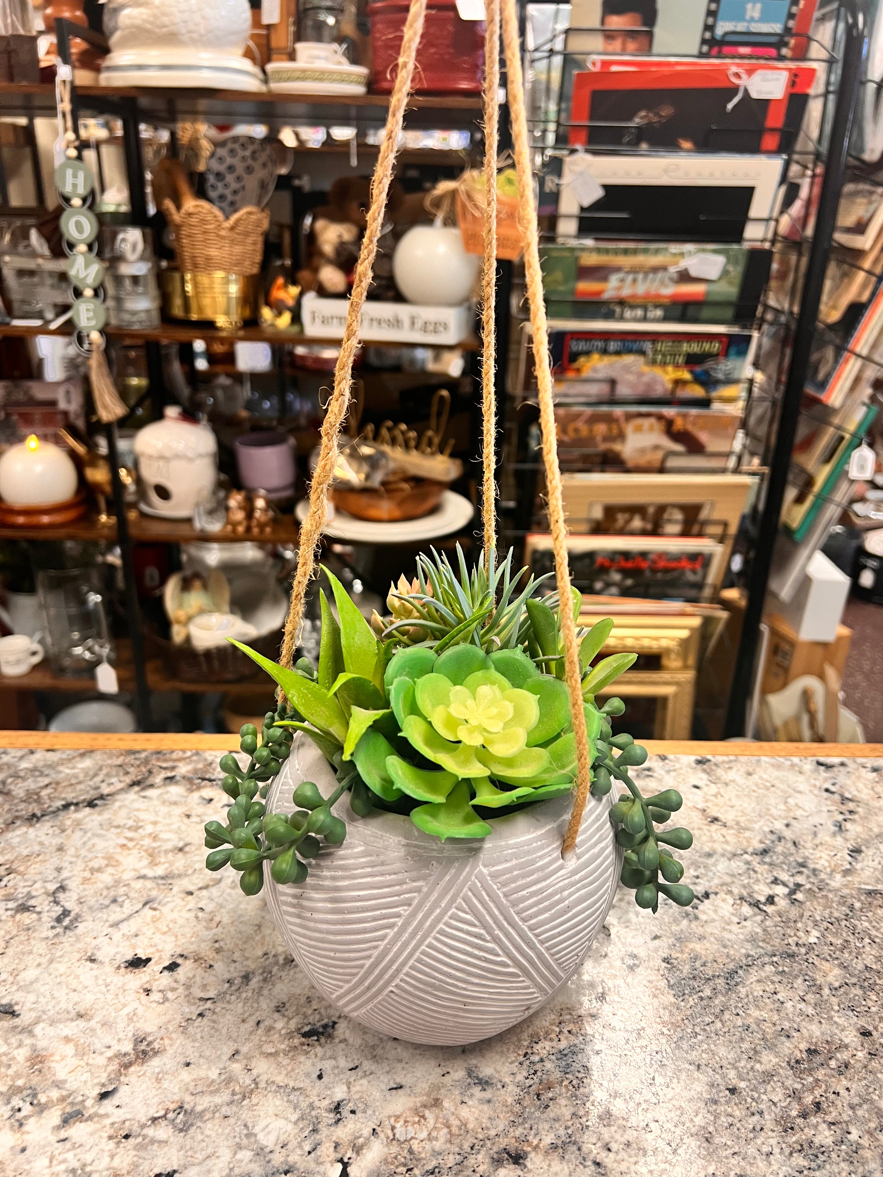 Hanging Plant