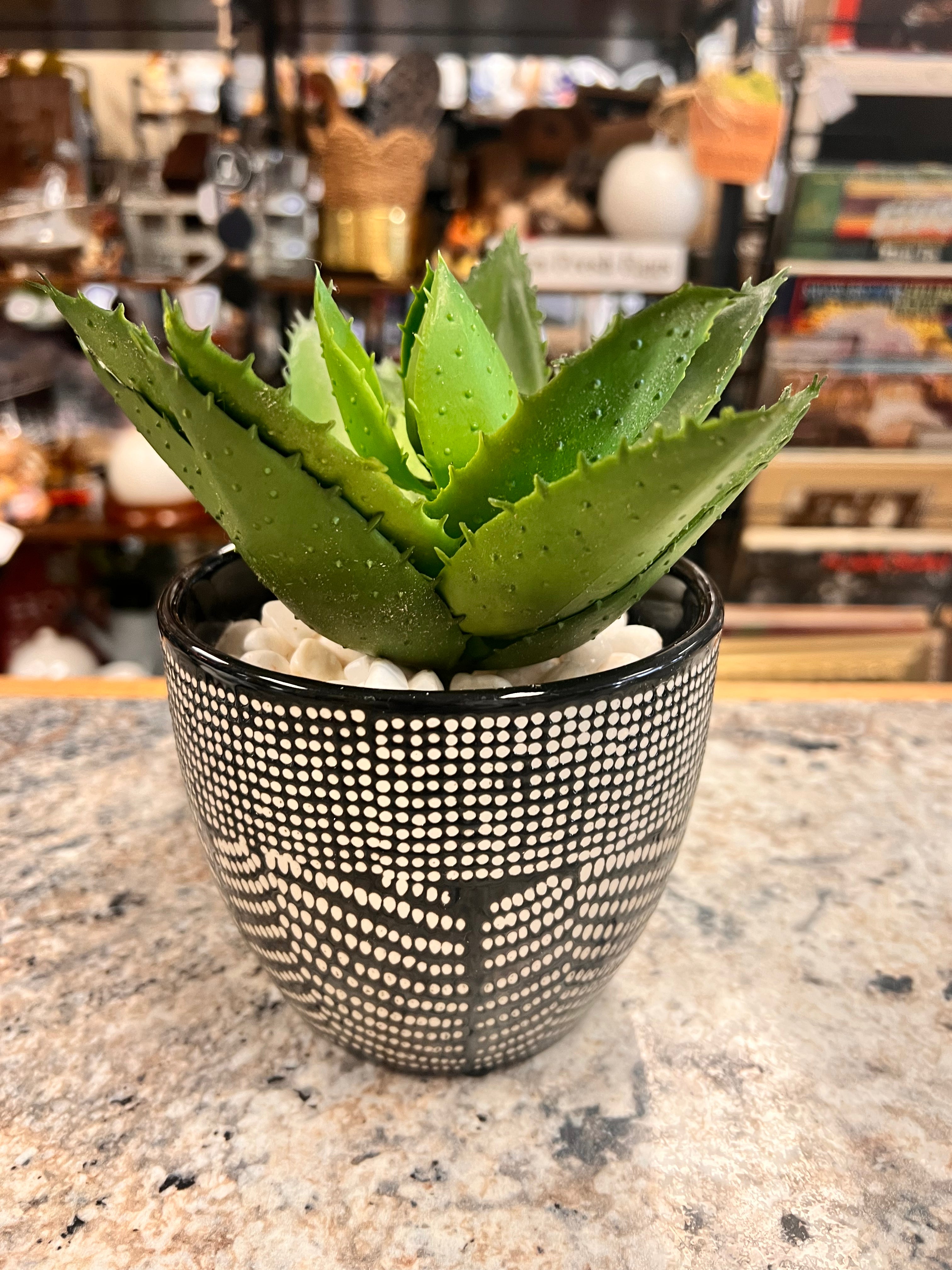 Plant Decor