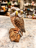 Wood Owl
