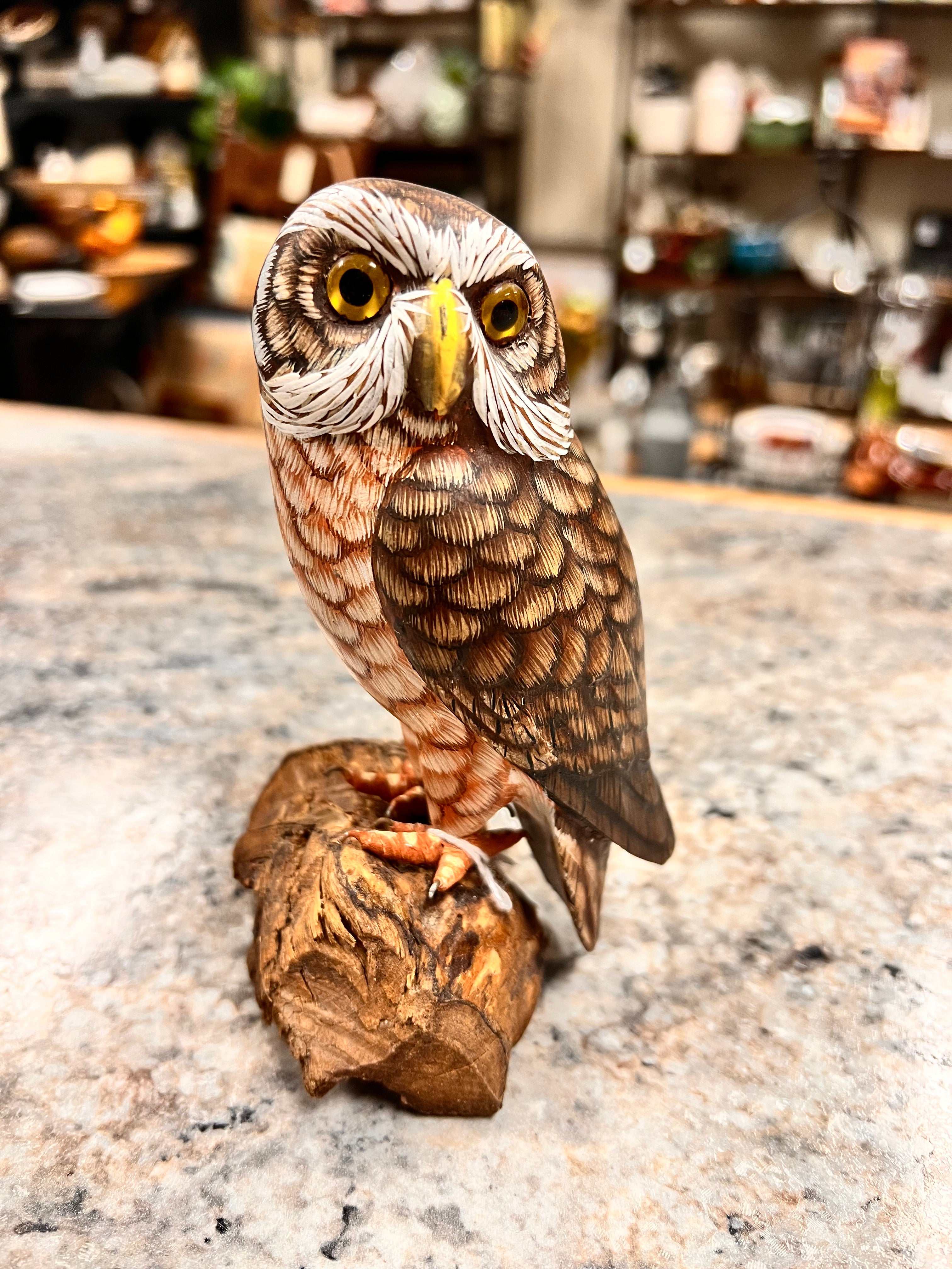 Wood Owl