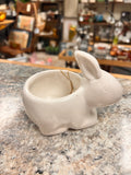Bunny Decor