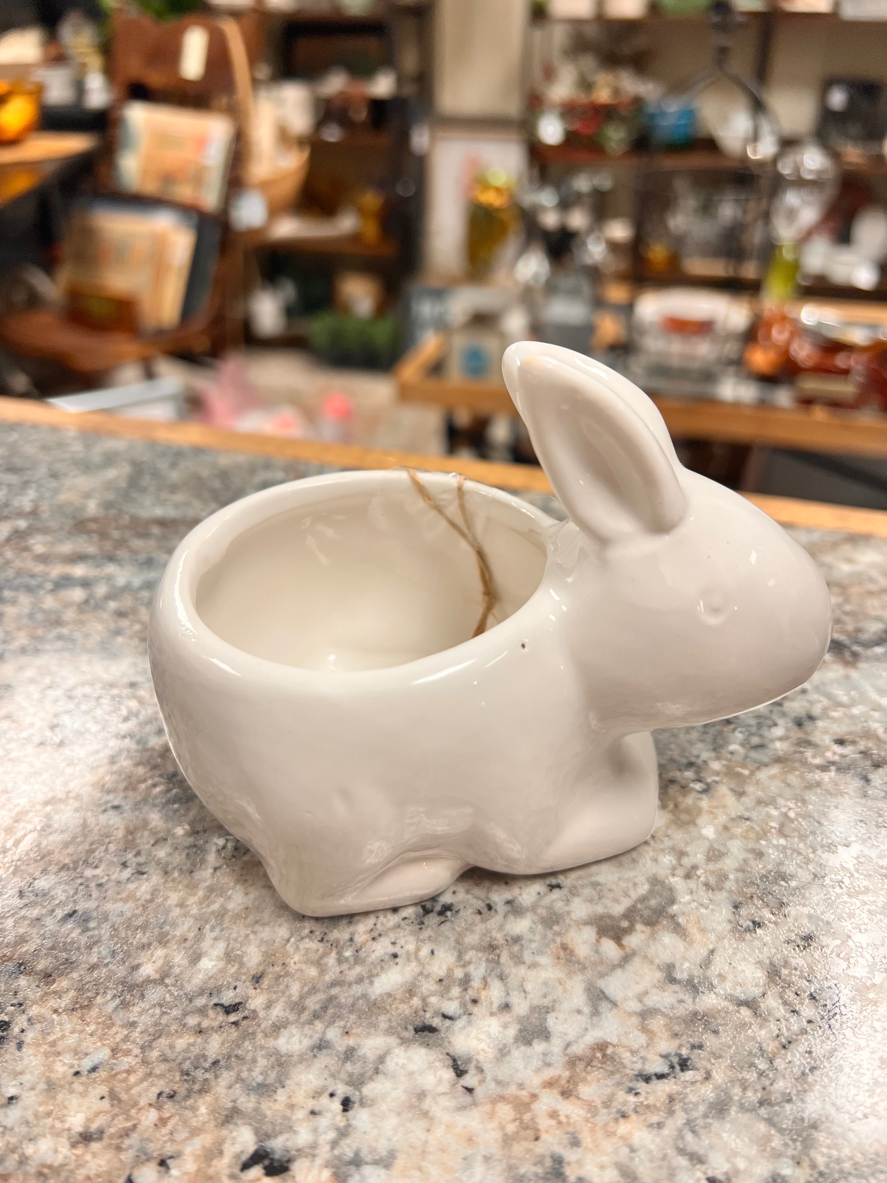 Bunny Decor