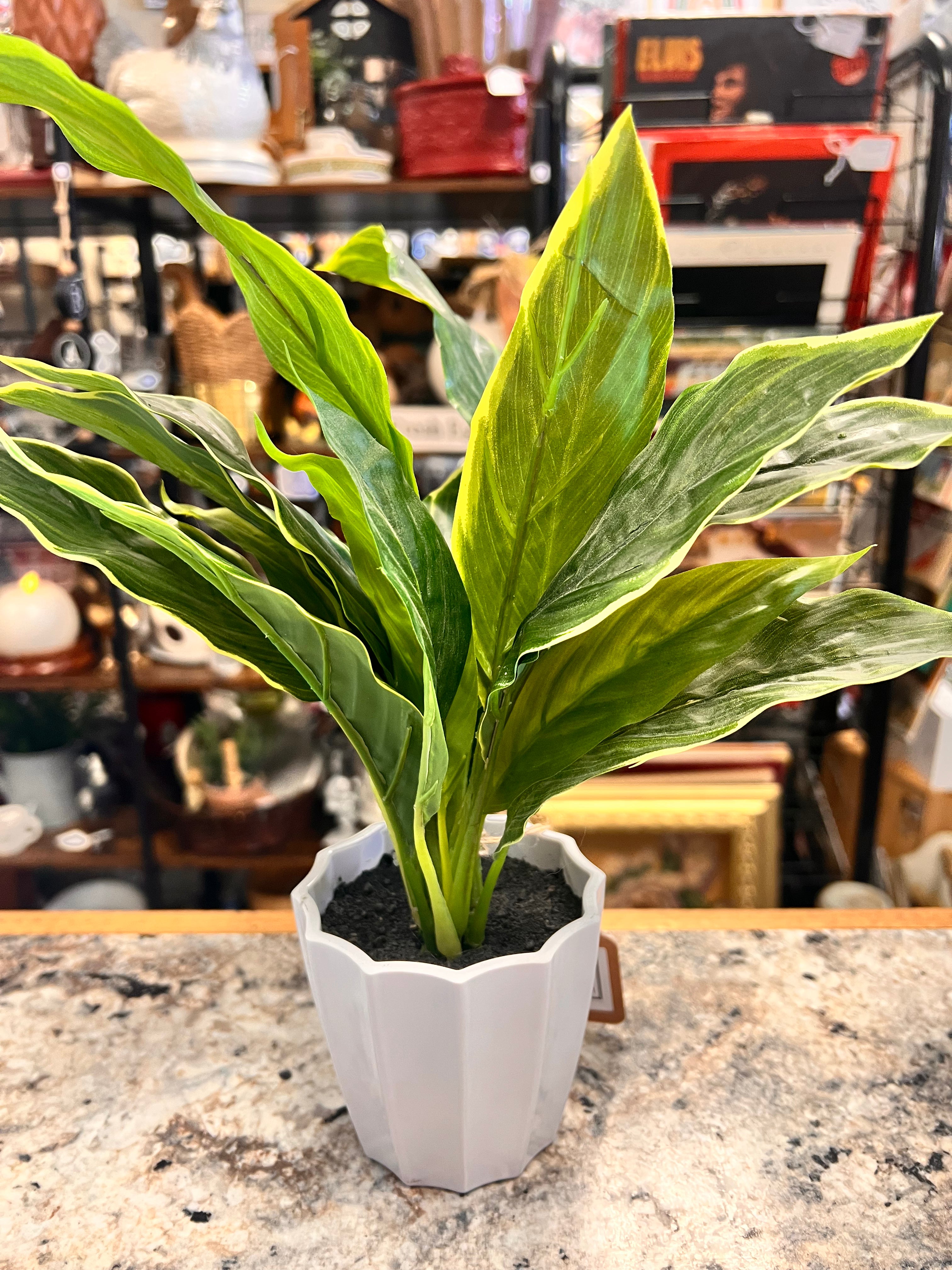 Fake Plant