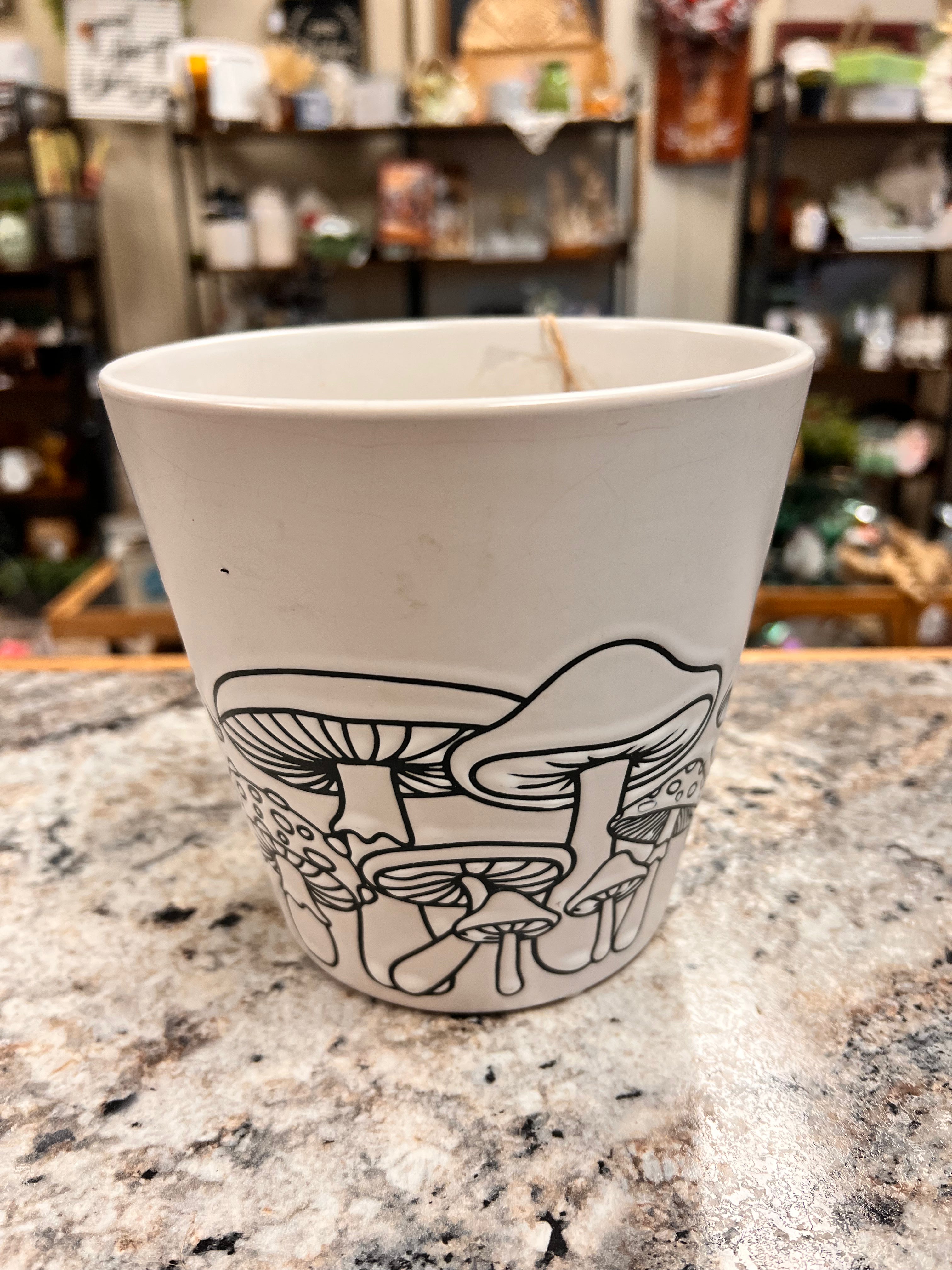 Mushroom Planter
