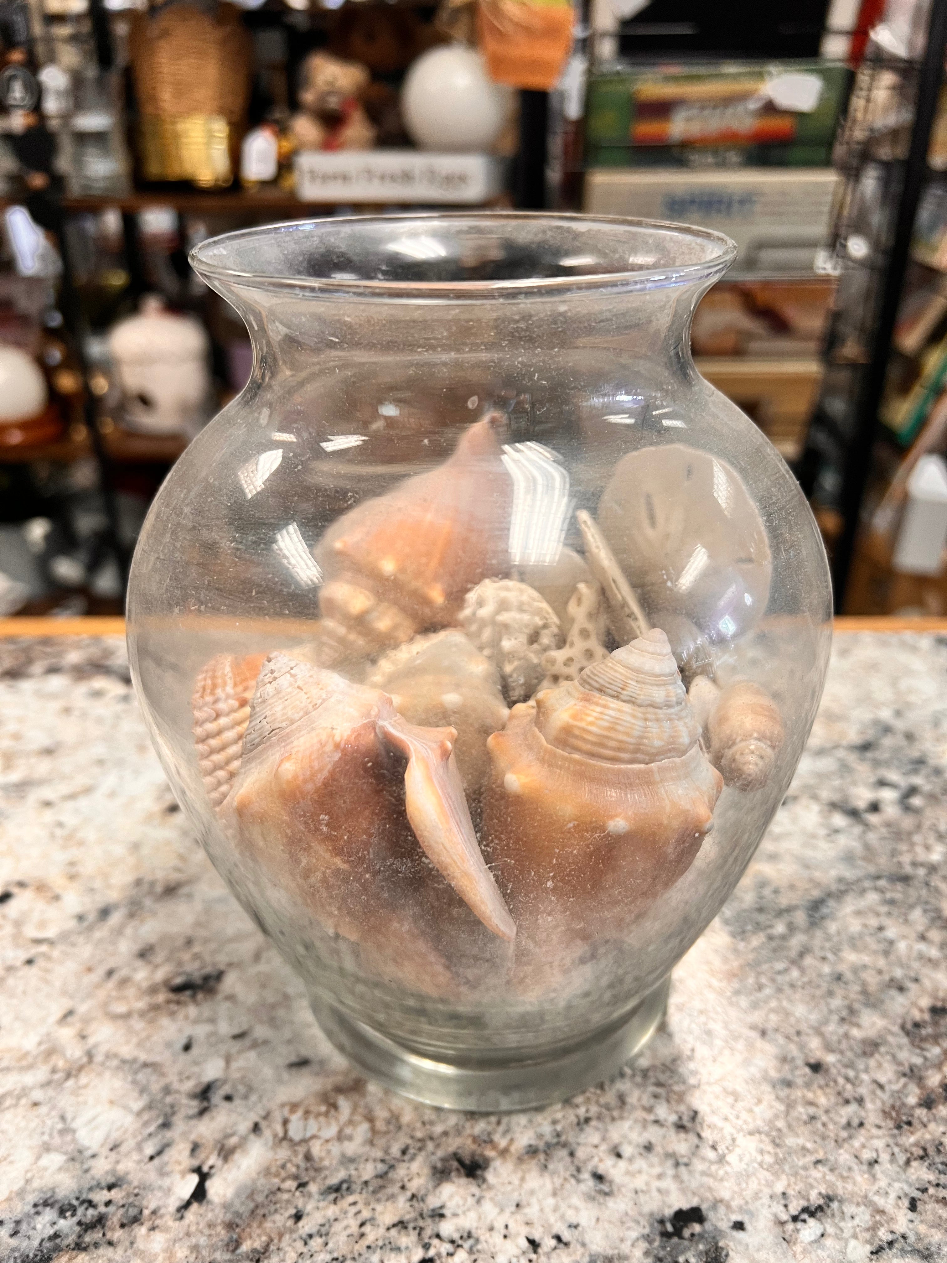 Vase & Shells