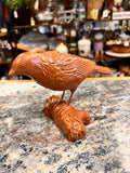 Brown Bird