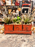 Plant Bundle