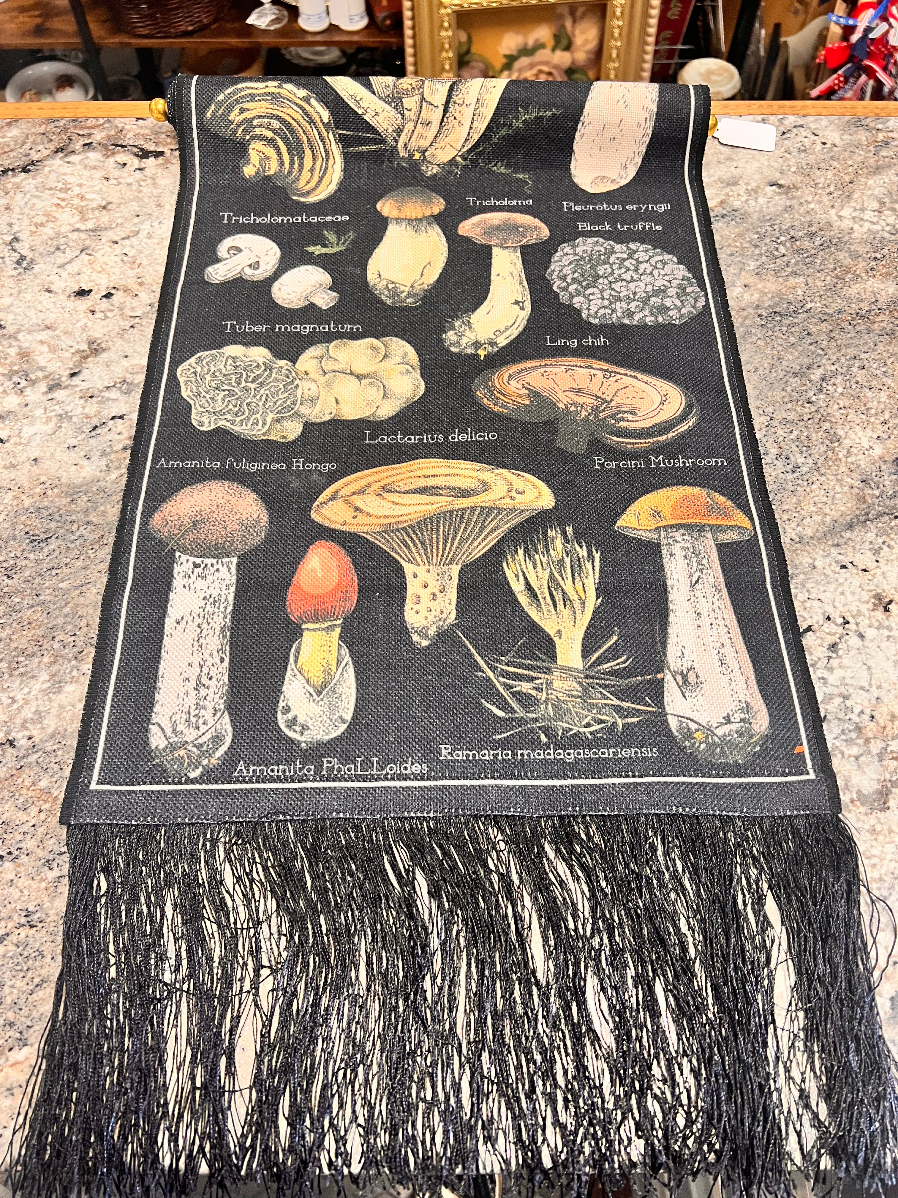 Mushroom Banner