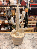 Cactus Decor