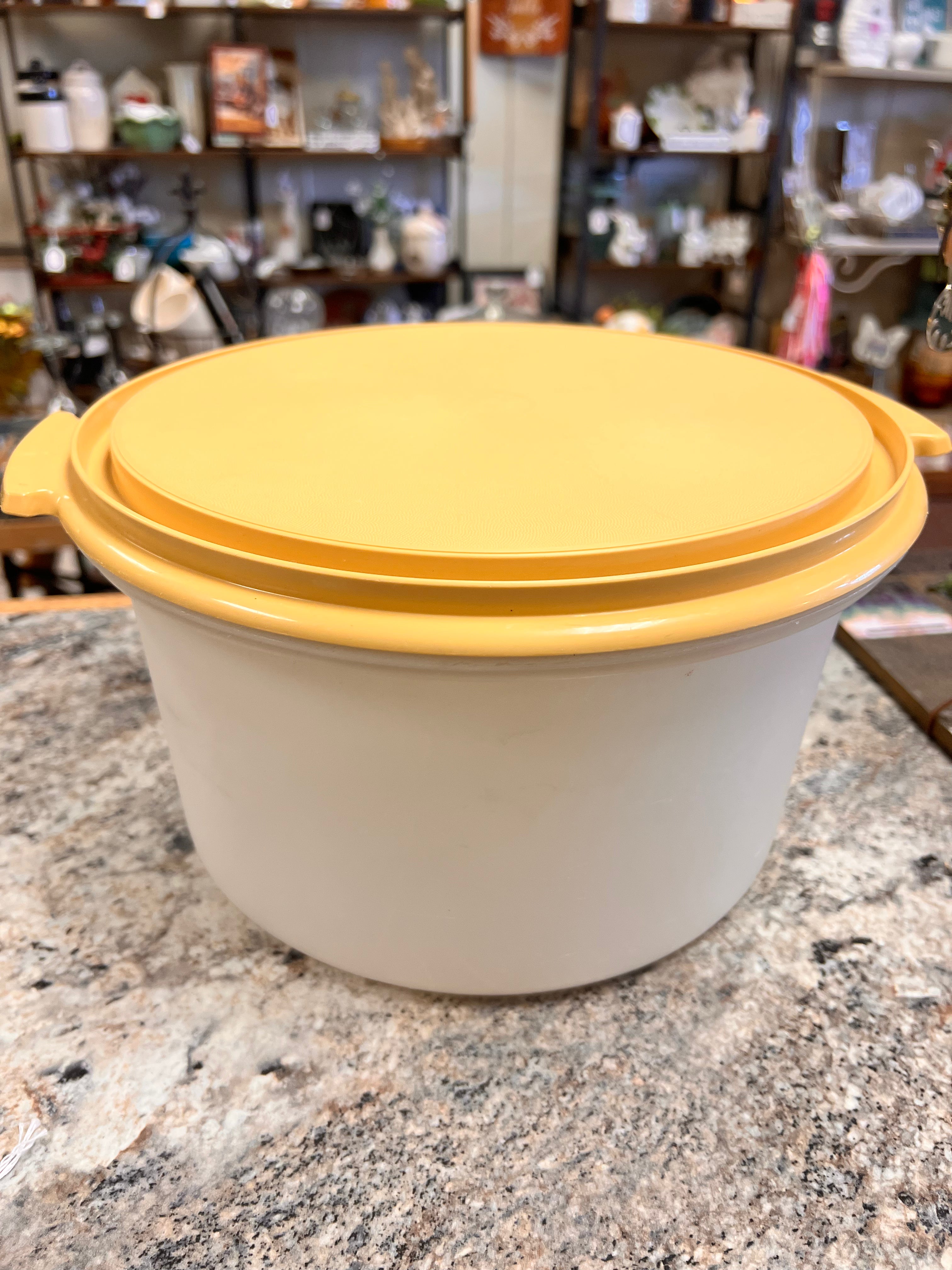 Cake Tupperware