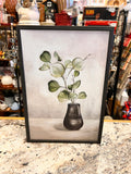 Plant Picture