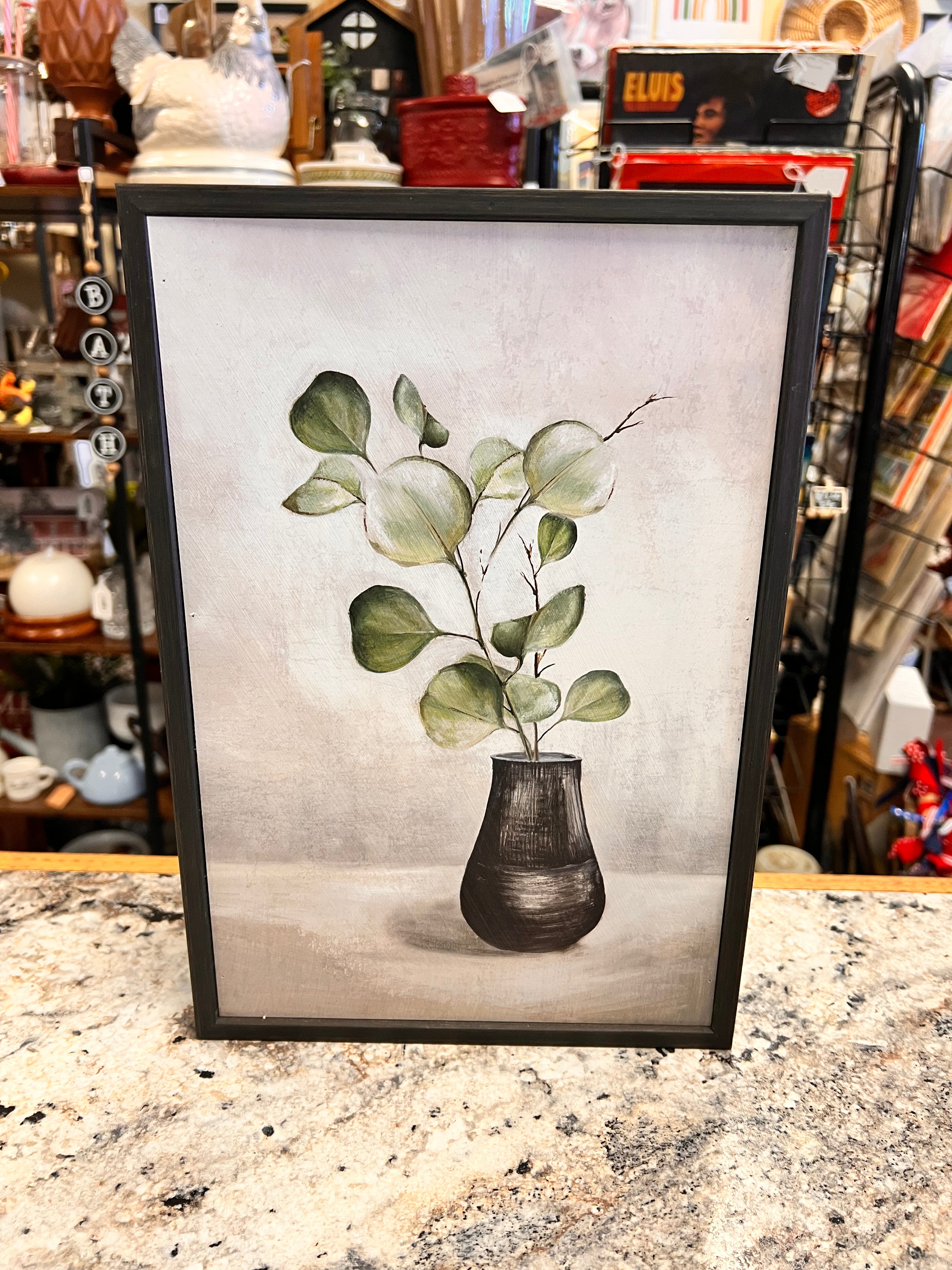 Plant Picture
