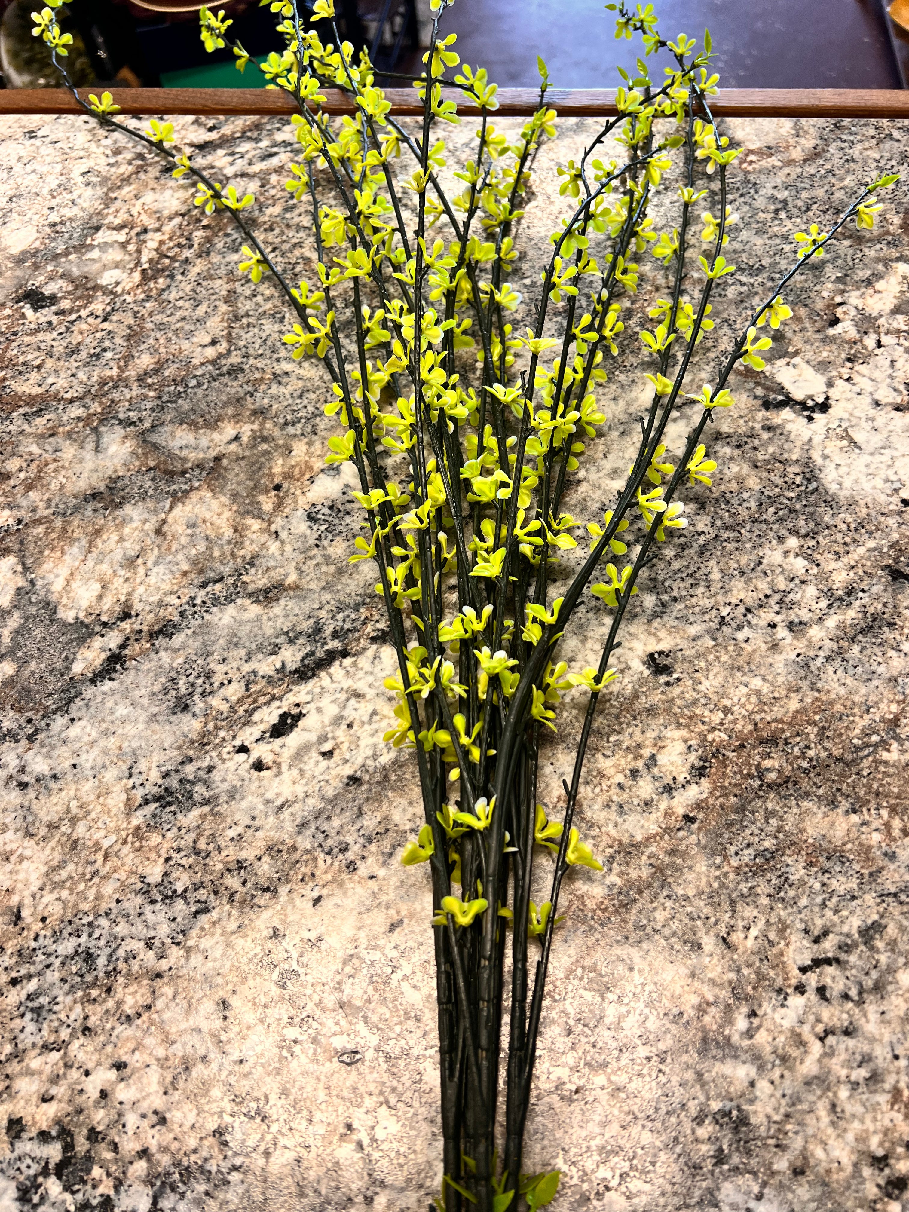 Plant Decor