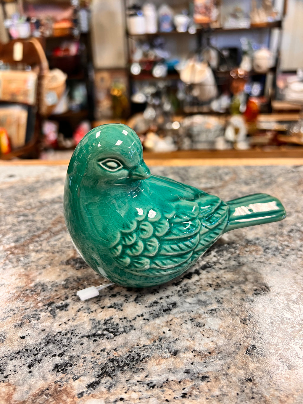 Teal Bird