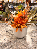 Small Plant