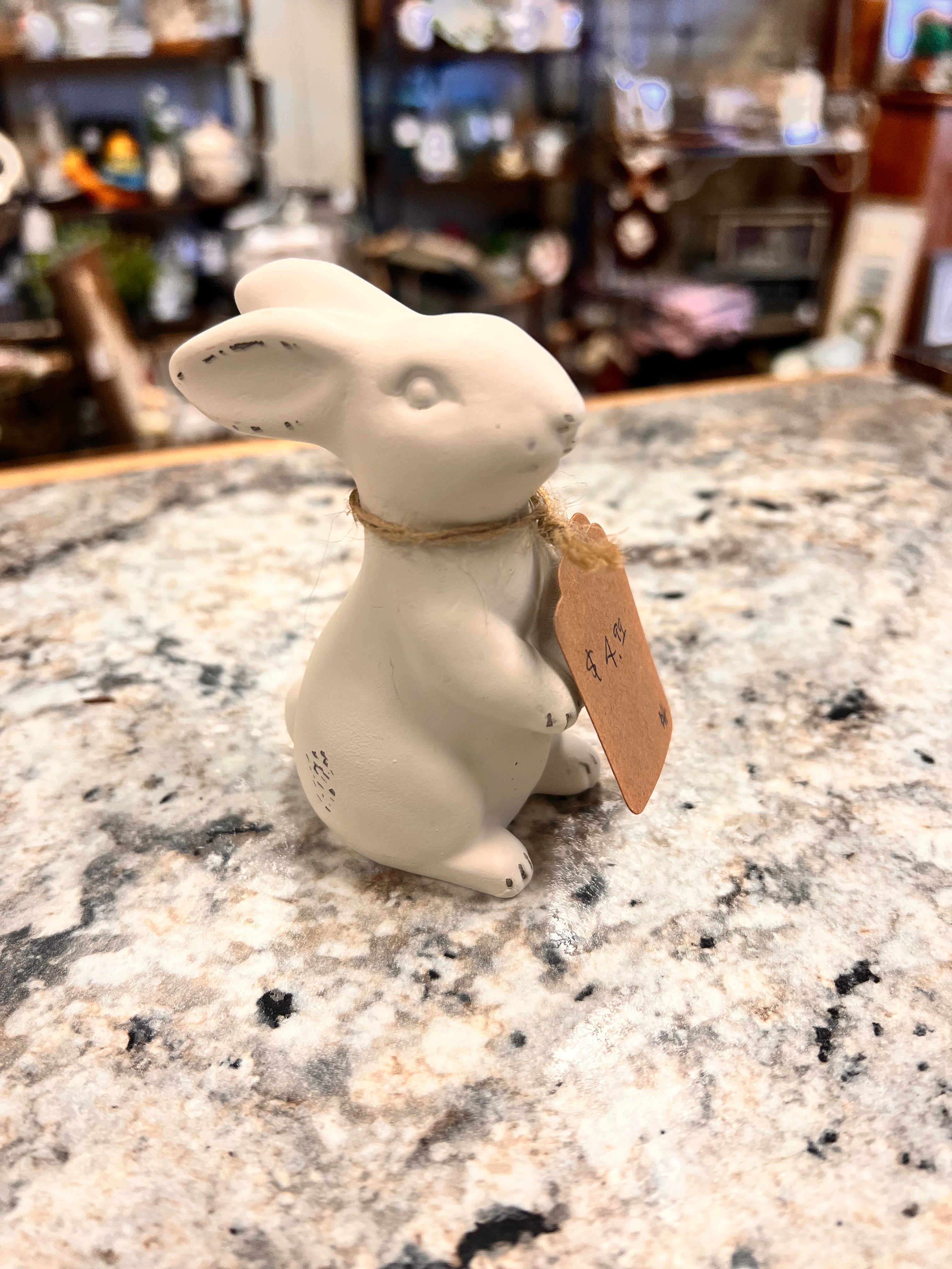 Small Bunny