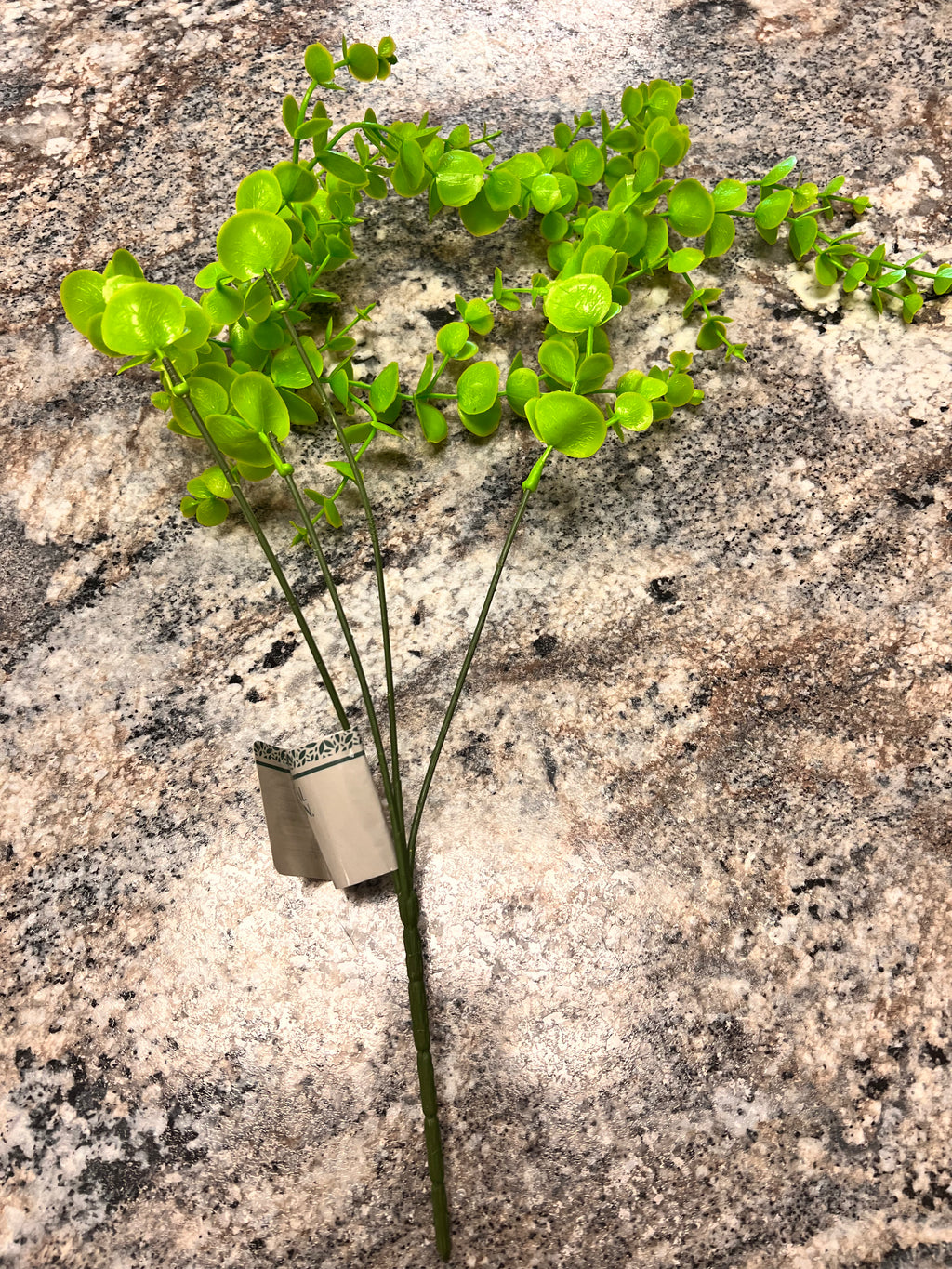 Plant Decor